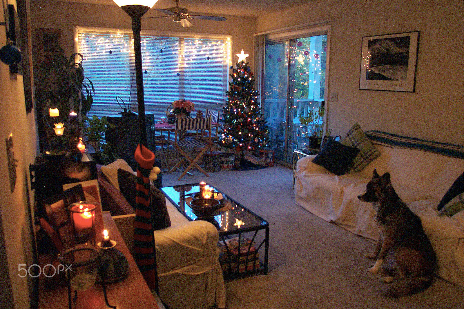 Kodak DC4800 ZOOM DIGITAL CAMERA sample photo. Christmas missing a friend photography