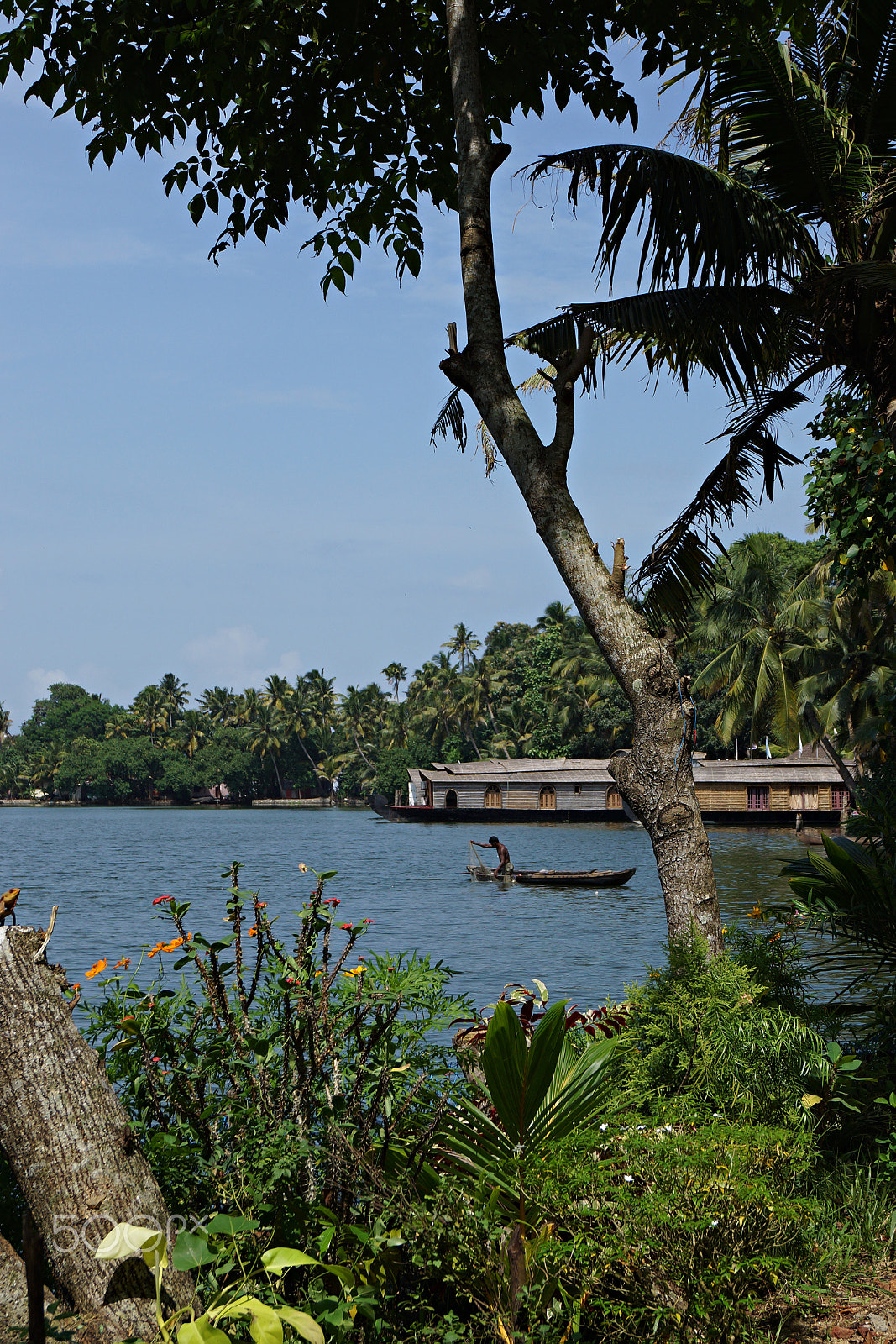 Sony SLT-A77 + Sony DT 18-55mm F3.5-5.6 SAM sample photo. Kerala photography