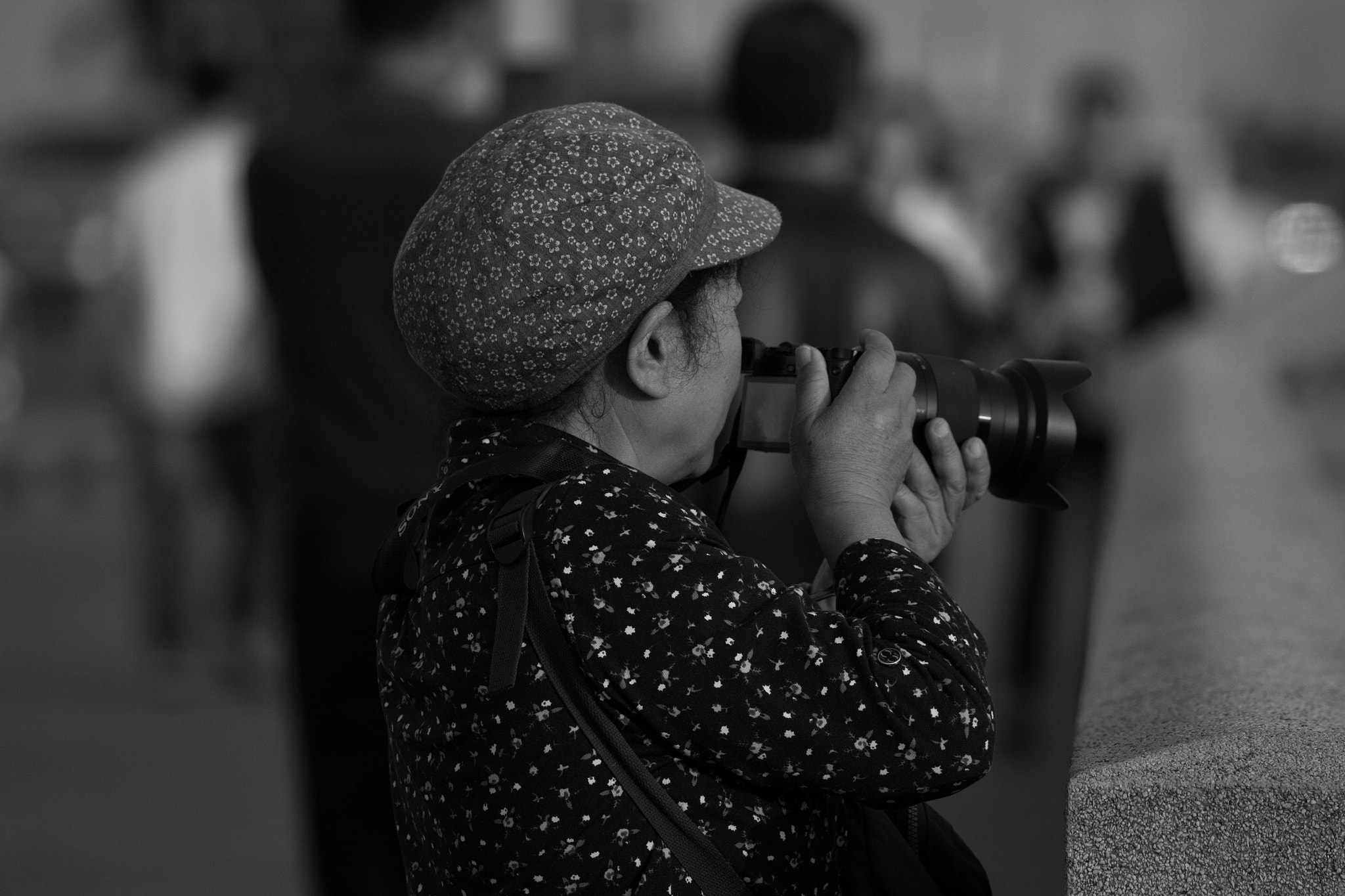 Canon EOS 60D sample photo