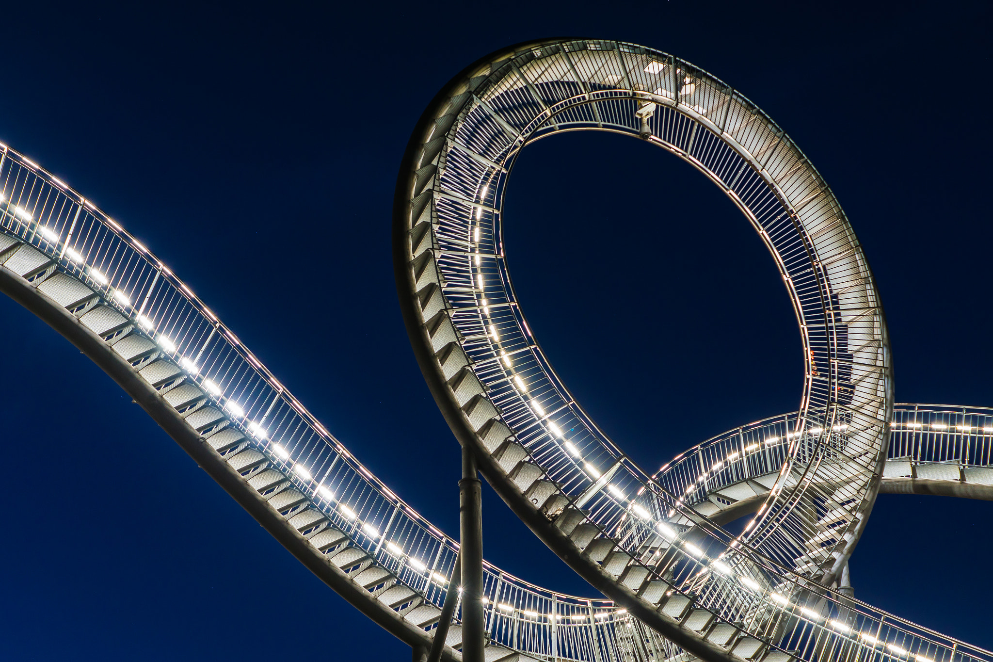 Sony ILCA-77M2 + Sony DT 35mm F1.8 SAM sample photo. Tiger & turtle photography