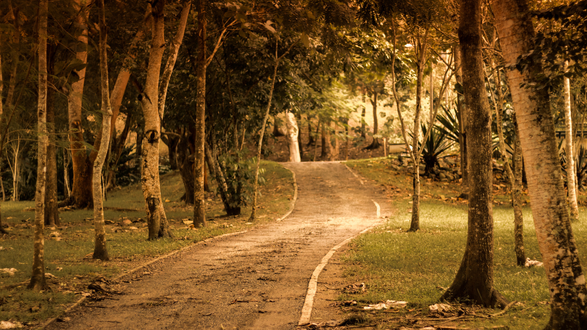 Canon EOS 760D (EOS Rebel T6s / EOS 8000D) sample photo. Jardín botánico de caguas photography