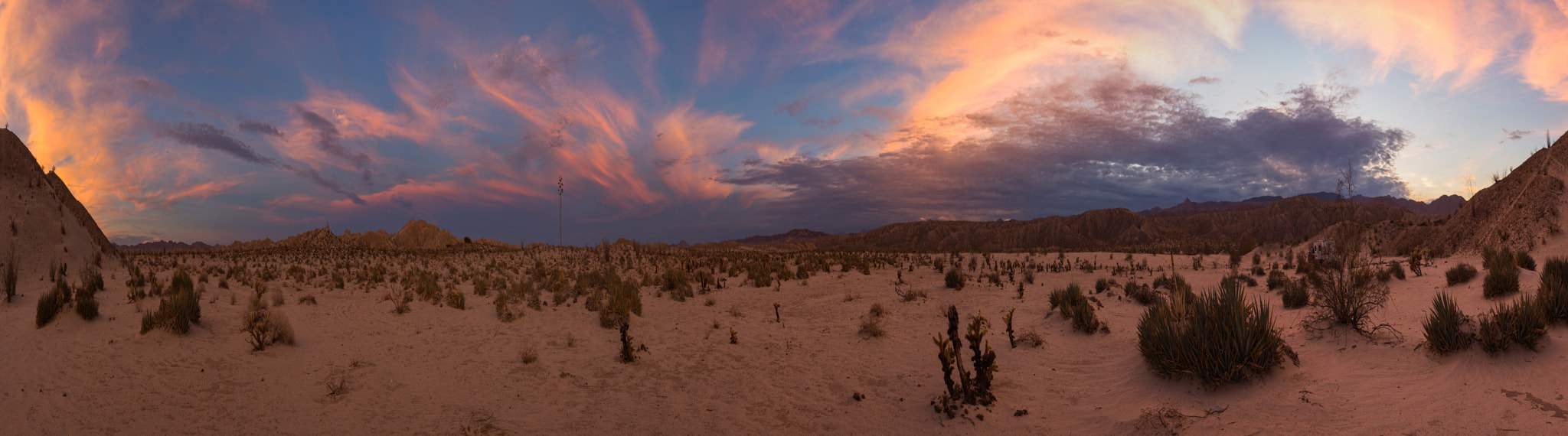 Canon EF-S 17-85mm F4-5.6 IS USM sample photo. In the desert you can remember your name; 'cause there ain't no one for to give you no pain. photography