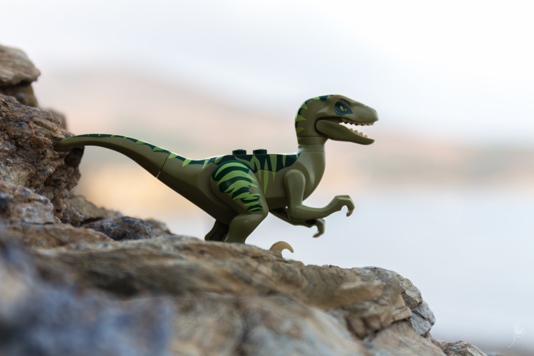 Canon EF 24-70mm F4L IS USM sample photo. Dino rocks photography
