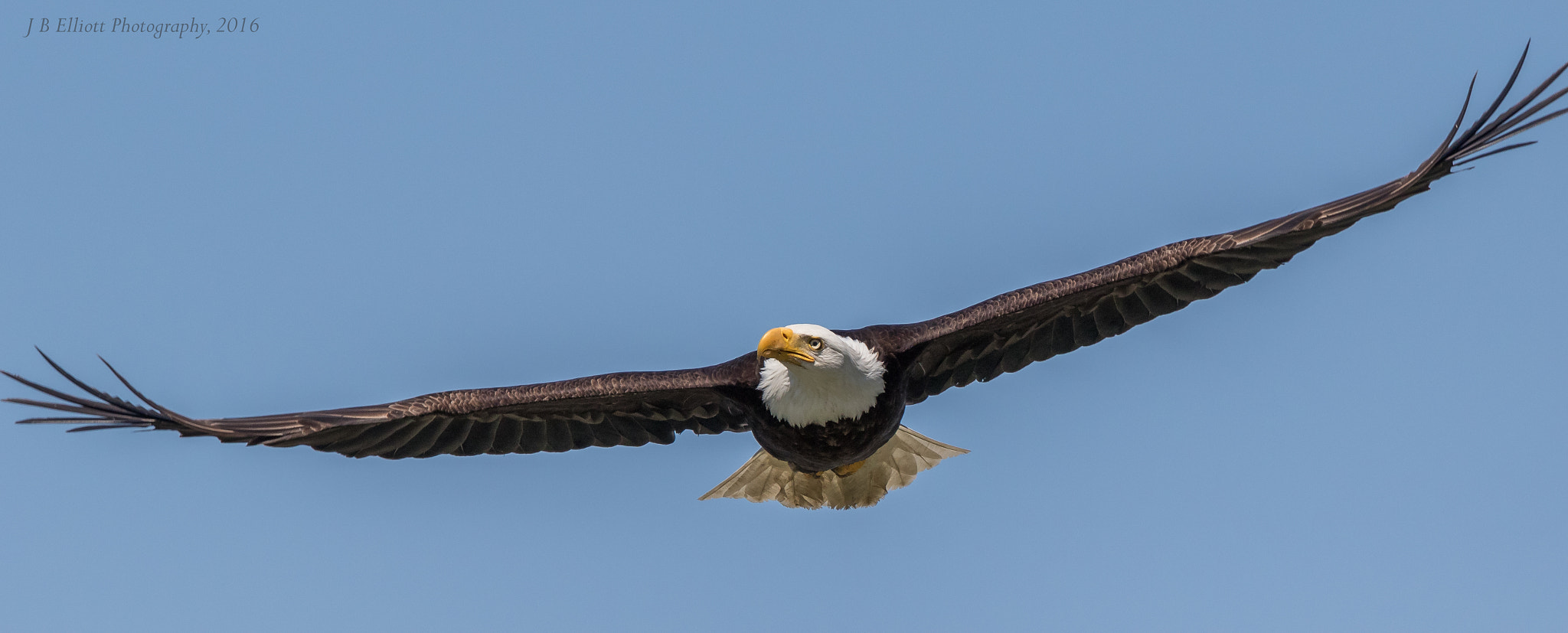 Canon EF 500mm F4L IS II USM sample photo. To the heavens photography