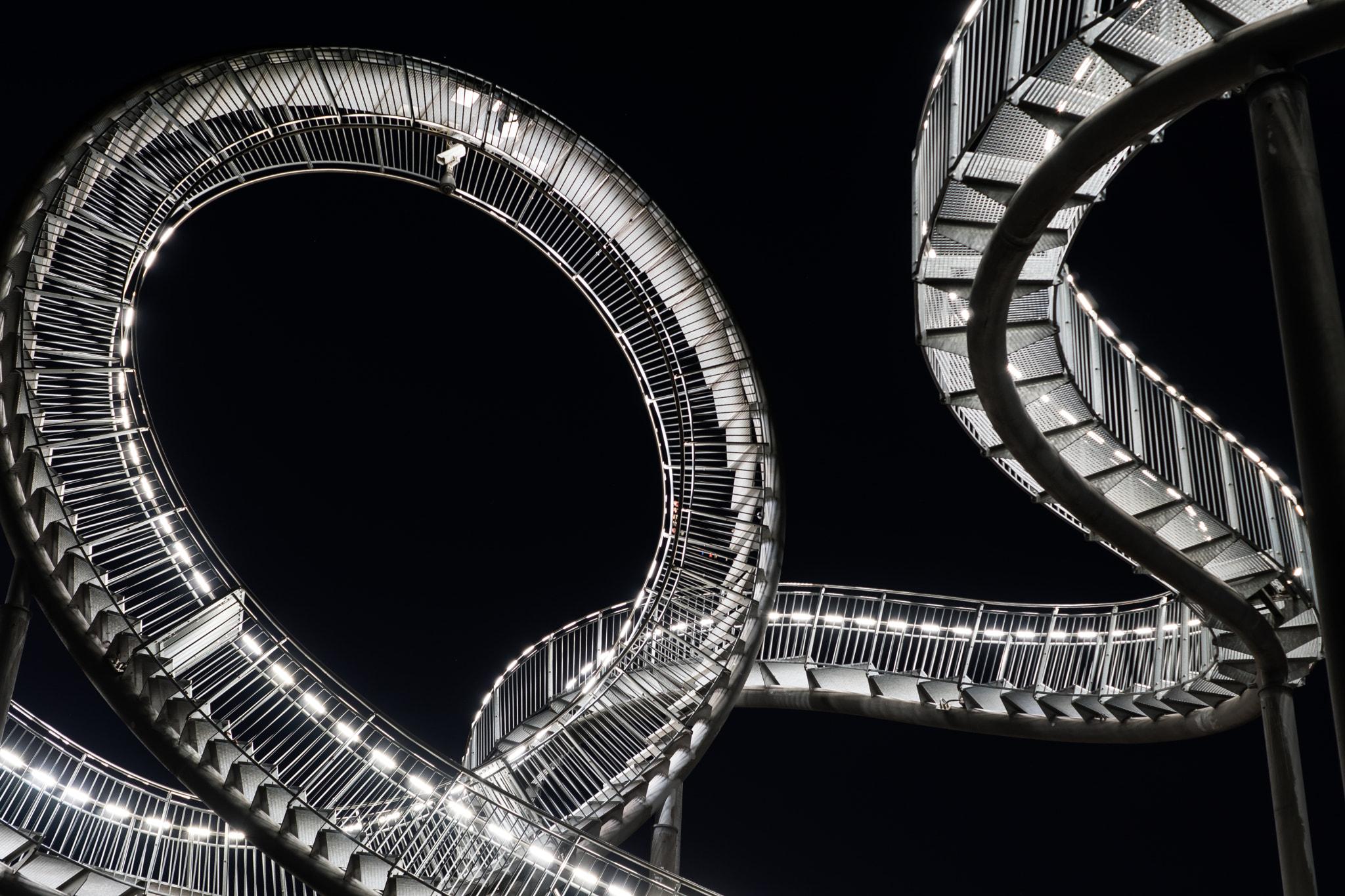 Sony ILCA-77M2 + Sony DT 35mm F1.8 SAM sample photo. Tiger & turtle photography