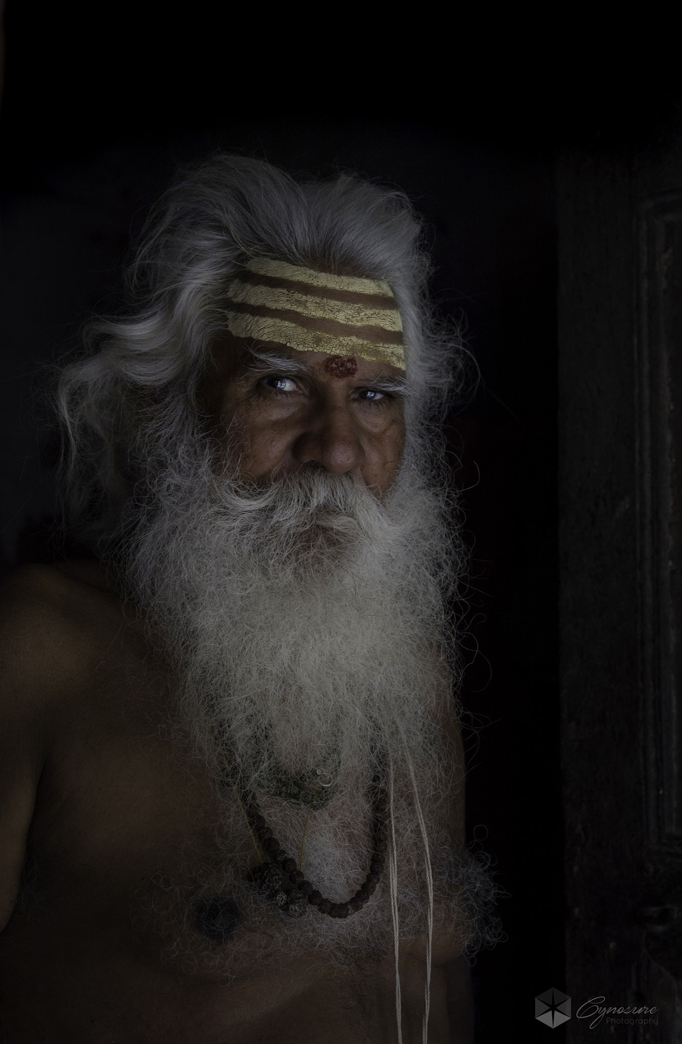Nikon D4S sample photo. Varanasi still photography