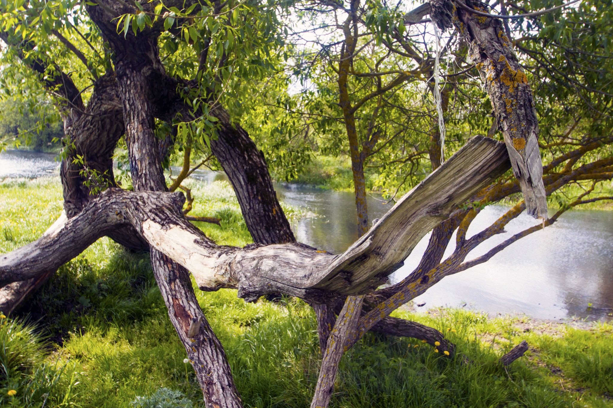 Nikon D3200 sample photo. Survival photography