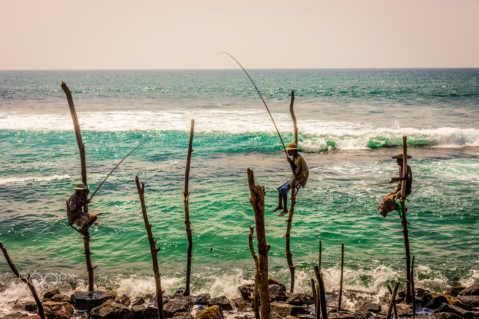 Canon EF 50mm F1.8 II sample photo. Patiance photography
