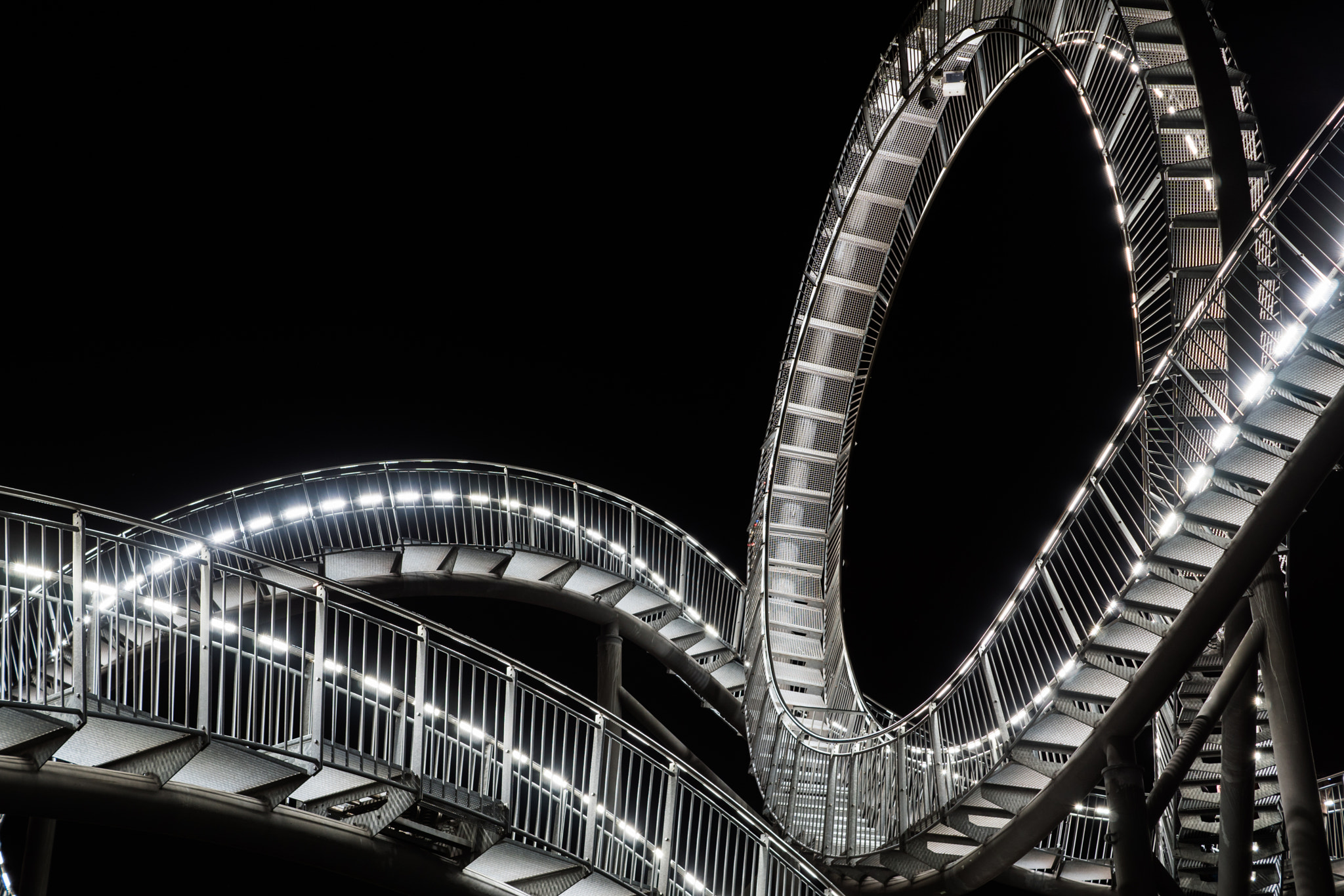 Sony ILCA-77M2 sample photo. Tiger & turtle photography