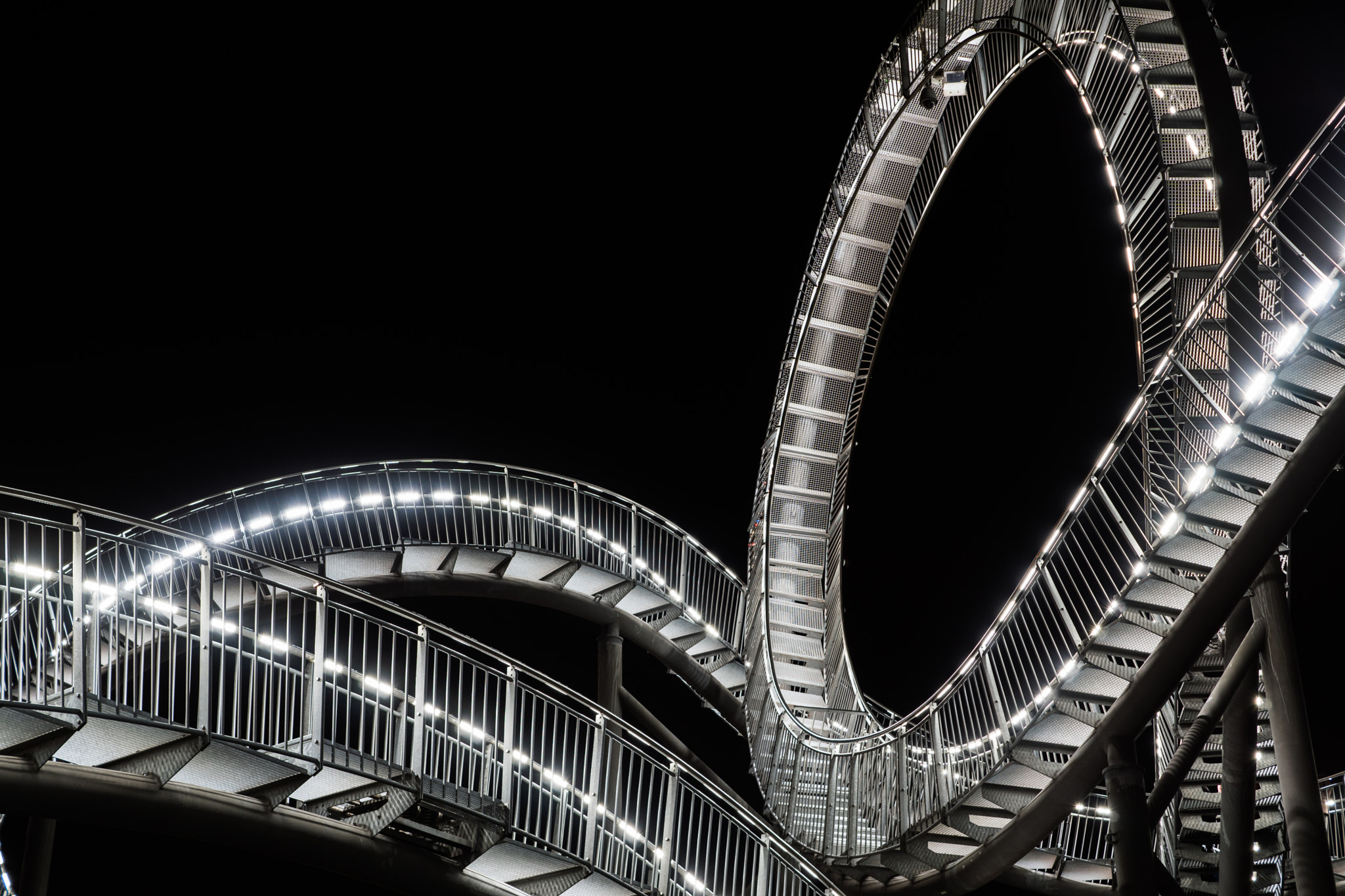 Sony ILCA-77M2 + Sony DT 35mm F1.8 SAM sample photo. Tiger & turtle photography