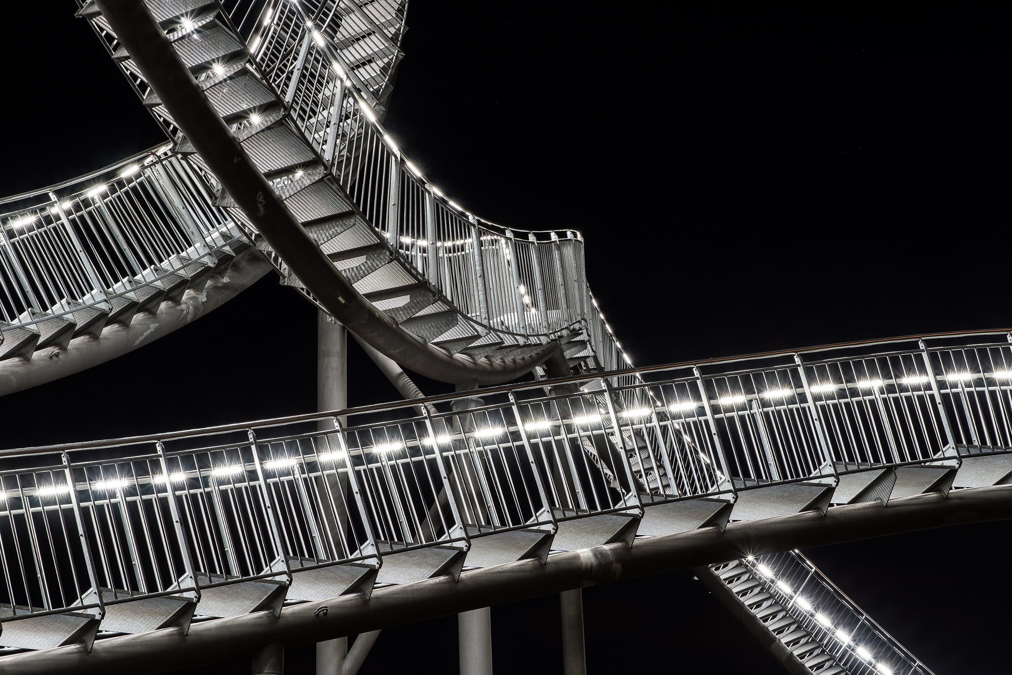Sony ILCA-77M2 + Sony DT 35mm F1.8 SAM sample photo. Tiger & turtle photography
