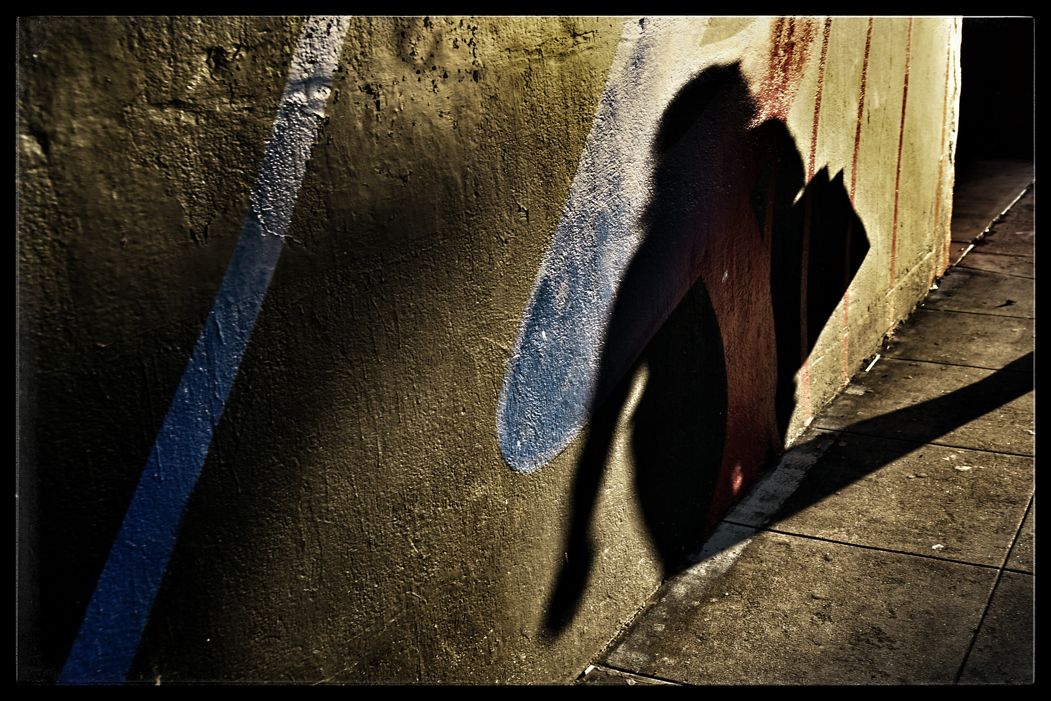 Sony Vario-Tessar T* E 16-70mm F4 ZA OSS sample photo. My wife's shafow - dtla photography