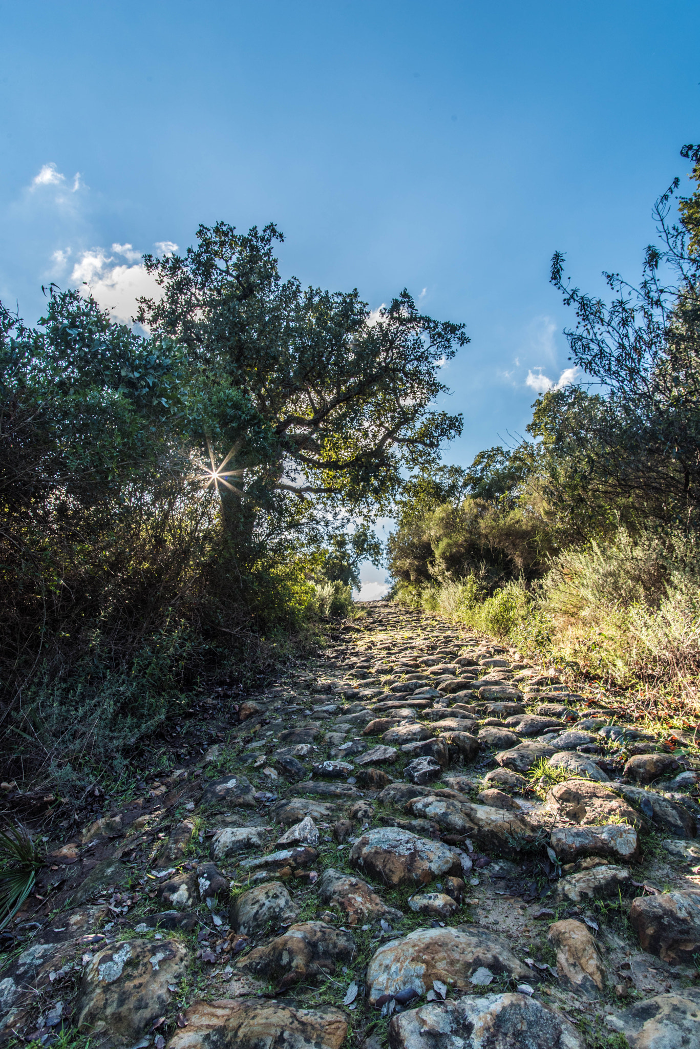 Sigma 17-35mm F2.8-4 EX DG  Aspherical HSM sample photo. Climb to the sky photography