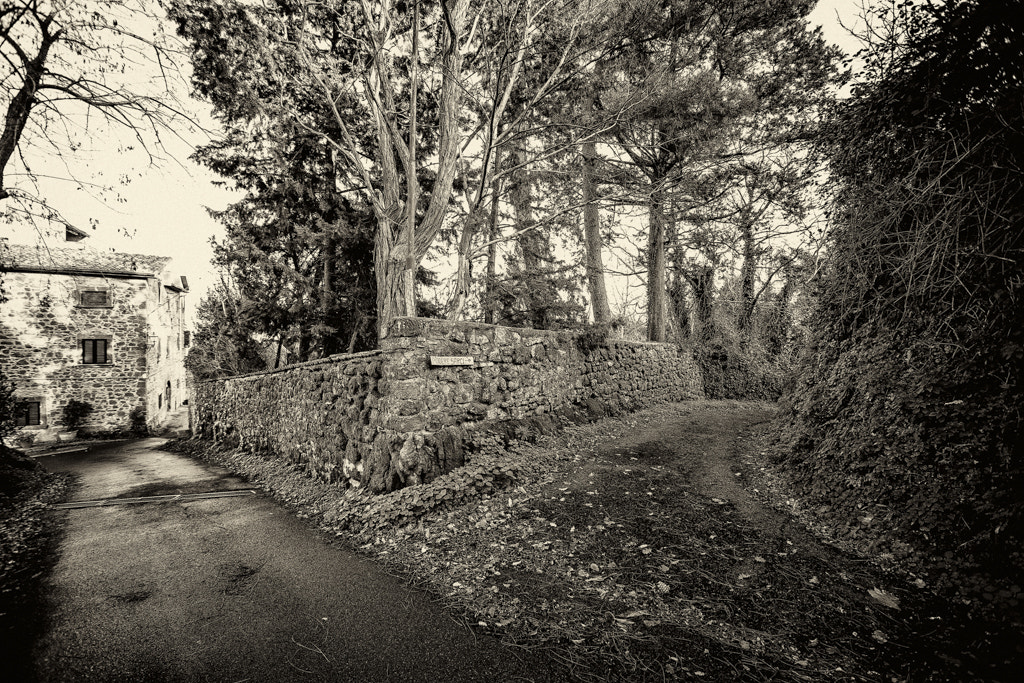 Canon EF 16-35mm F2.8L USM sample photo. La via di ligia a photography
