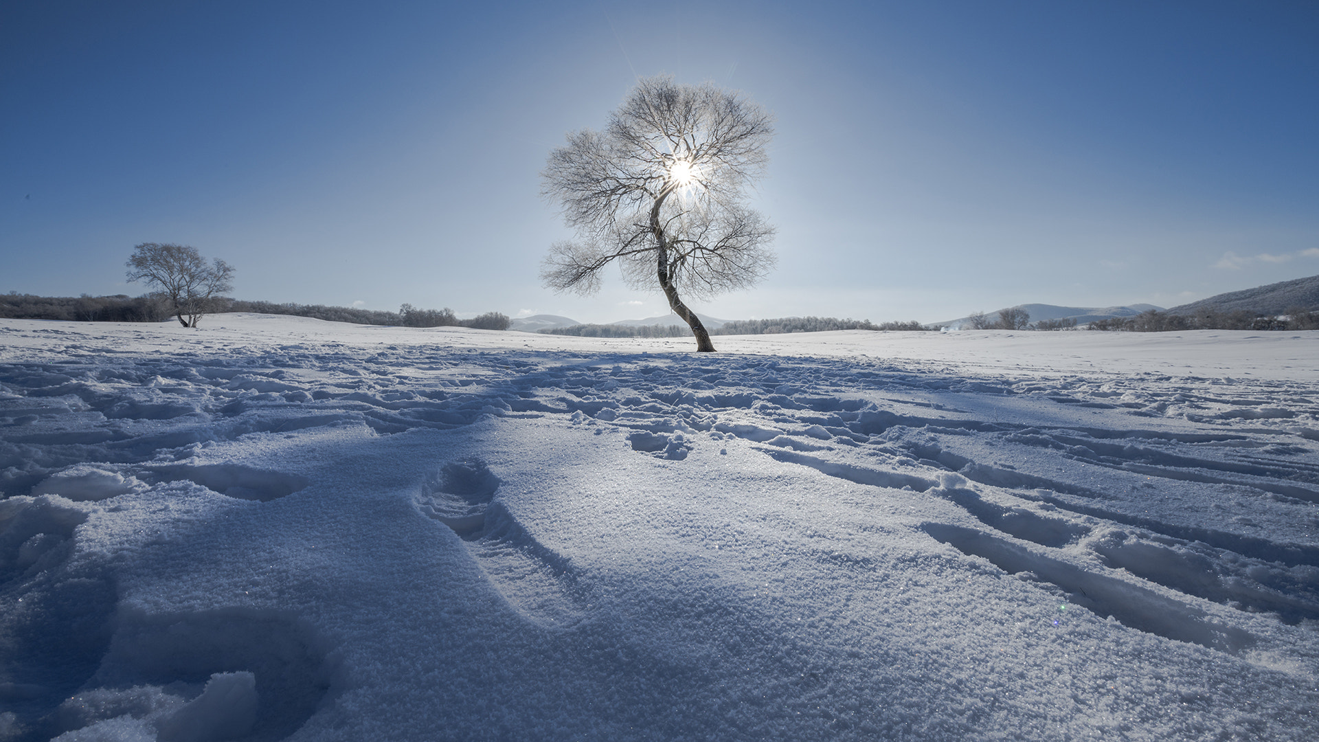 Sony a7R II + Canon EF 16-35mm F2.8L II USM sample photo. Winter photography