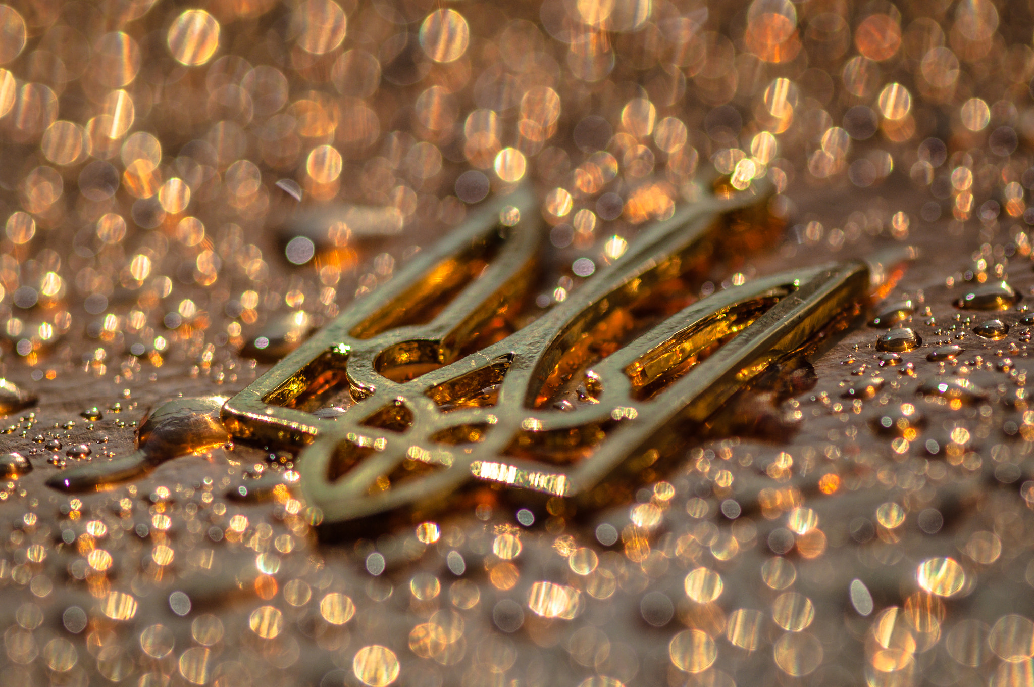 Nikon AF-S Micro-Nikkor 105mm F2.8G IF-ED VR sample photo. Gold centuries. Золото віків. photography