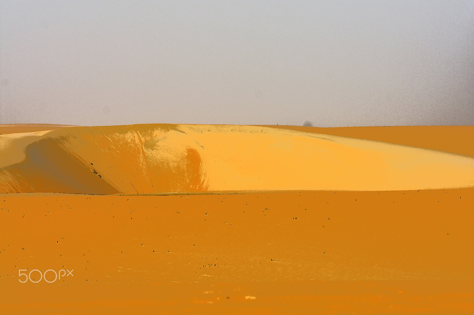 Nikon D3400 sample photo. Sense of the desert photography