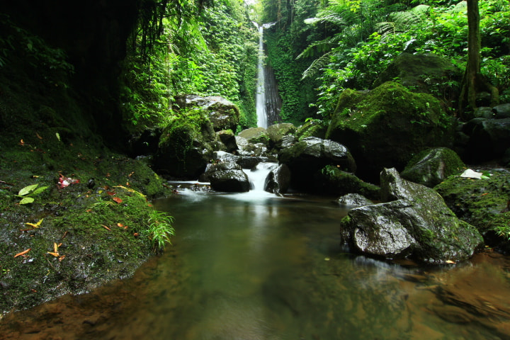 Tokina AT-X Pro 12-24mm F4 (IF) DX sample photo
