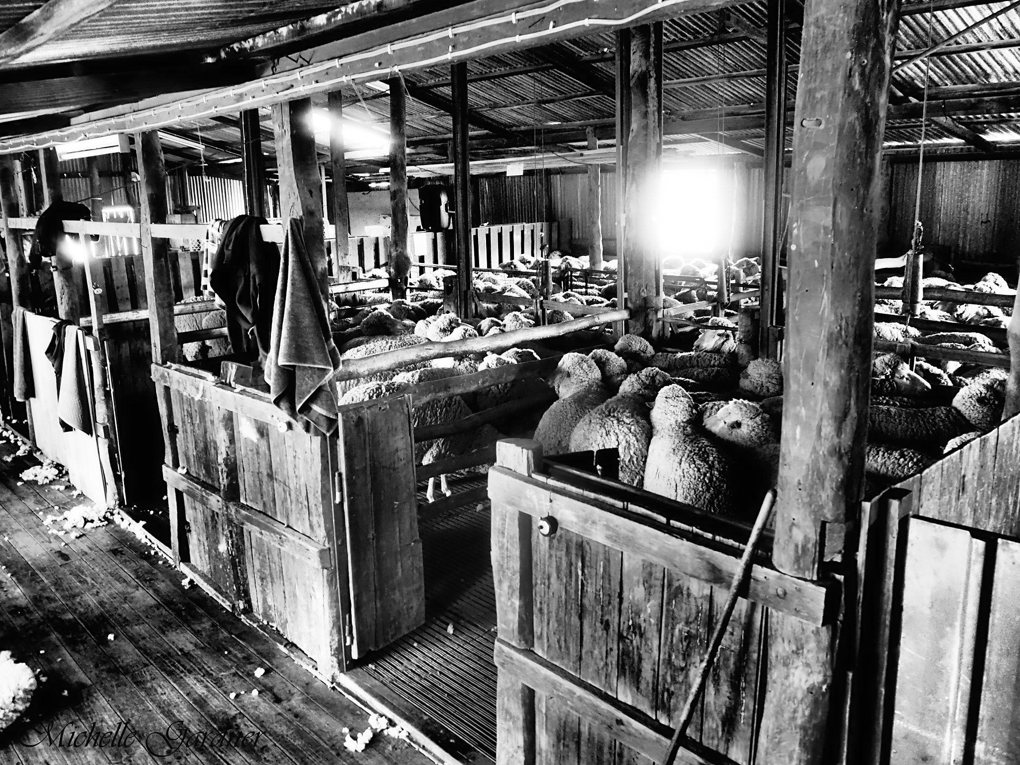 Olympus M.Zuiko Digital ED 14-42mm F3.5-5.6 EZ sample photo. The shearing shed - as it happens photography
