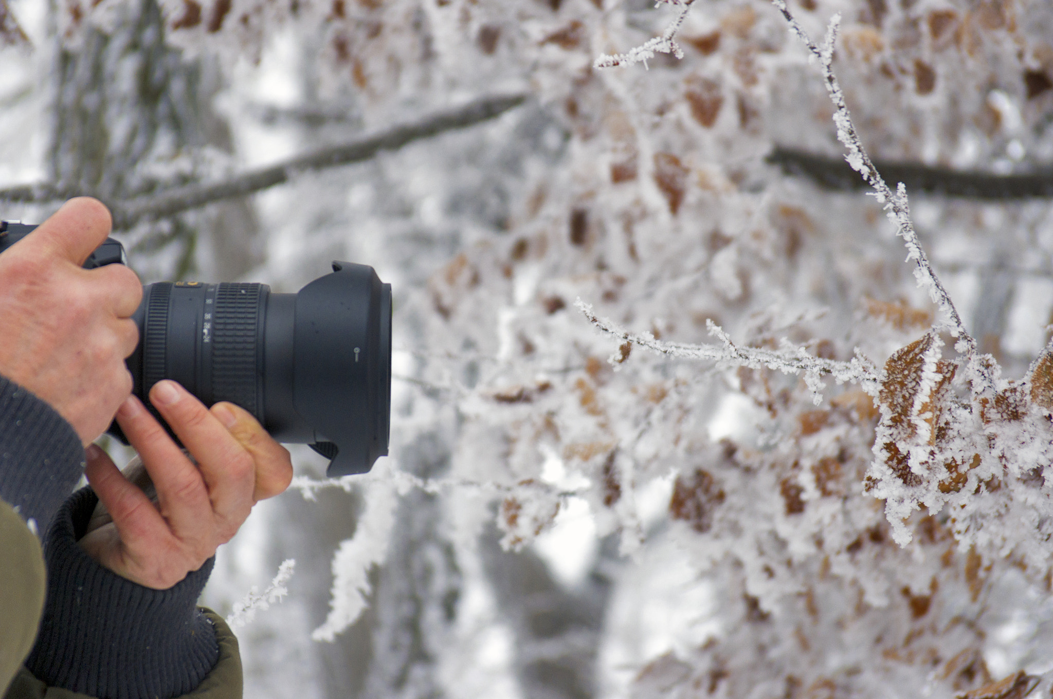 Pentax smc DA 17-70mm F4.0 AL (IF) SDM sample photo. Distance photography