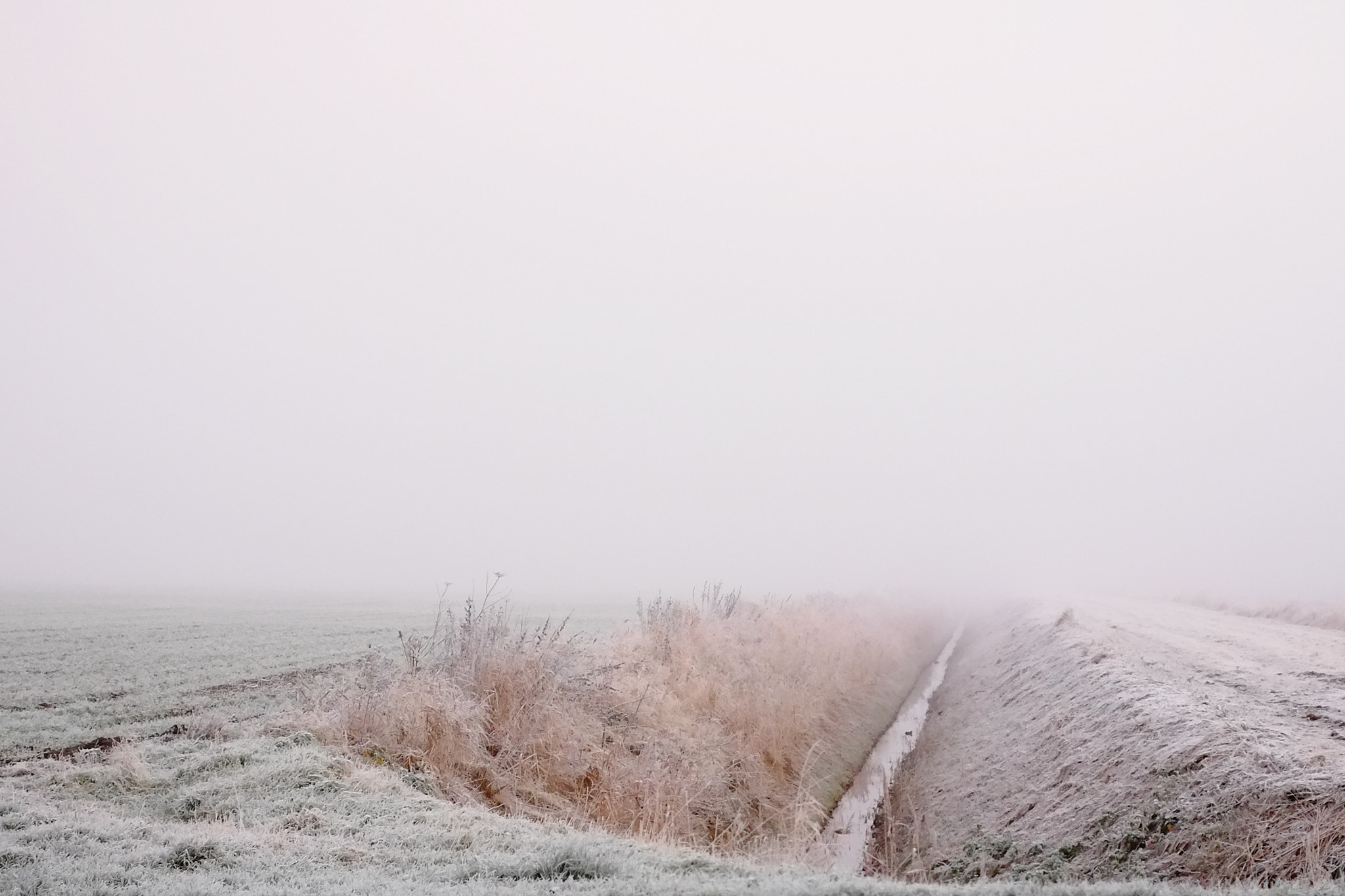 Fujifilm X-E1 + Fujifilm XF 27mm F2.8 sample photo. Frosty fen morning photography