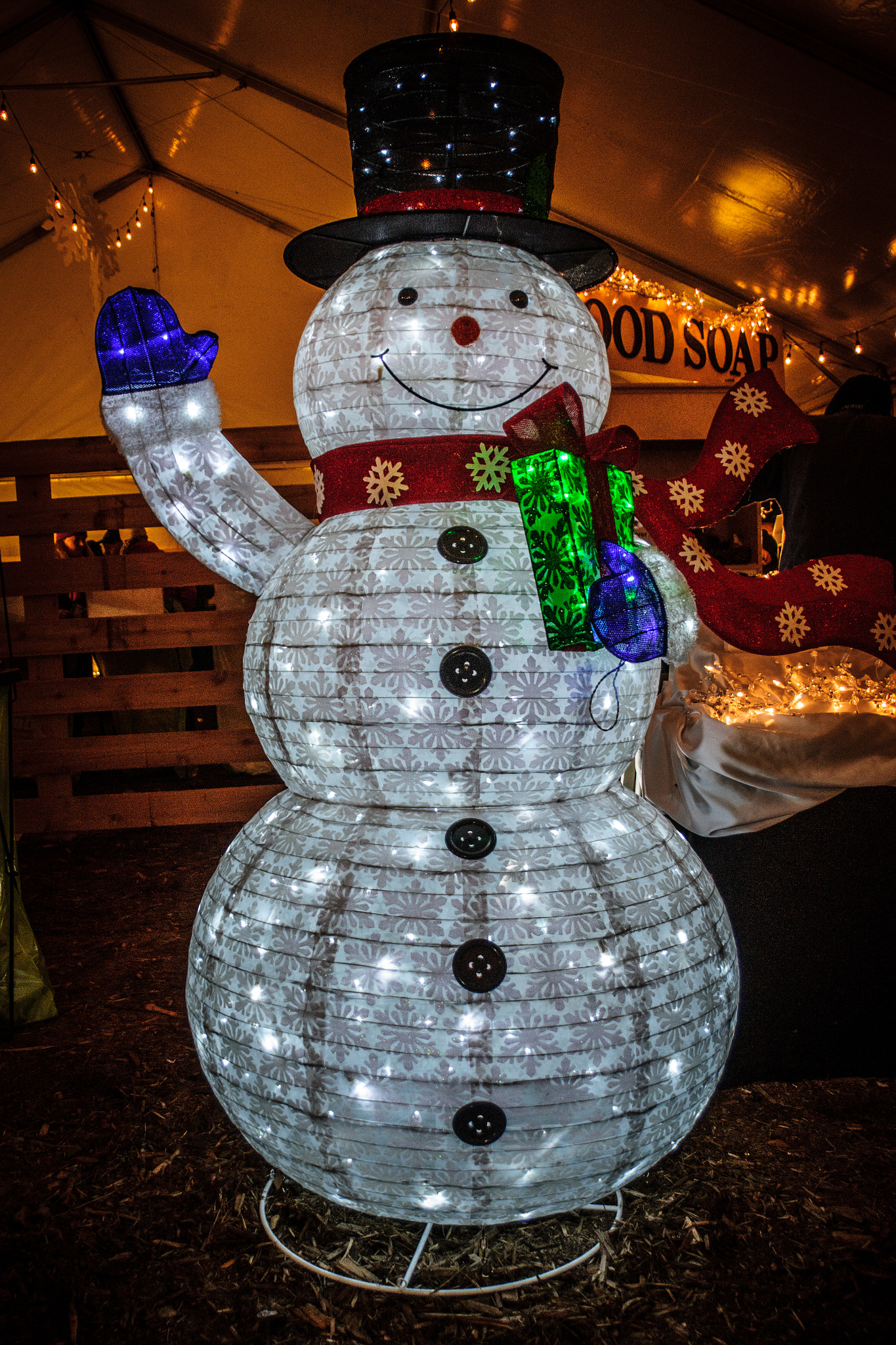 Sony SLT-A65 (SLT-A65V) sample photo. Snowman photography
