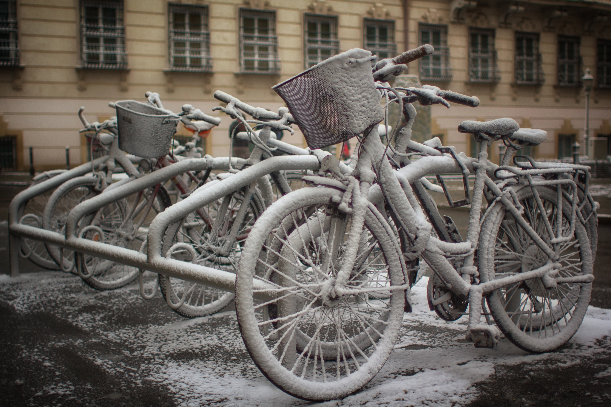 Canon EOS 550D (EOS Rebel T2i / EOS Kiss X4) + Canon EF 28mm F1.8 USM sample photo. Snowy vienna, part 3 photography