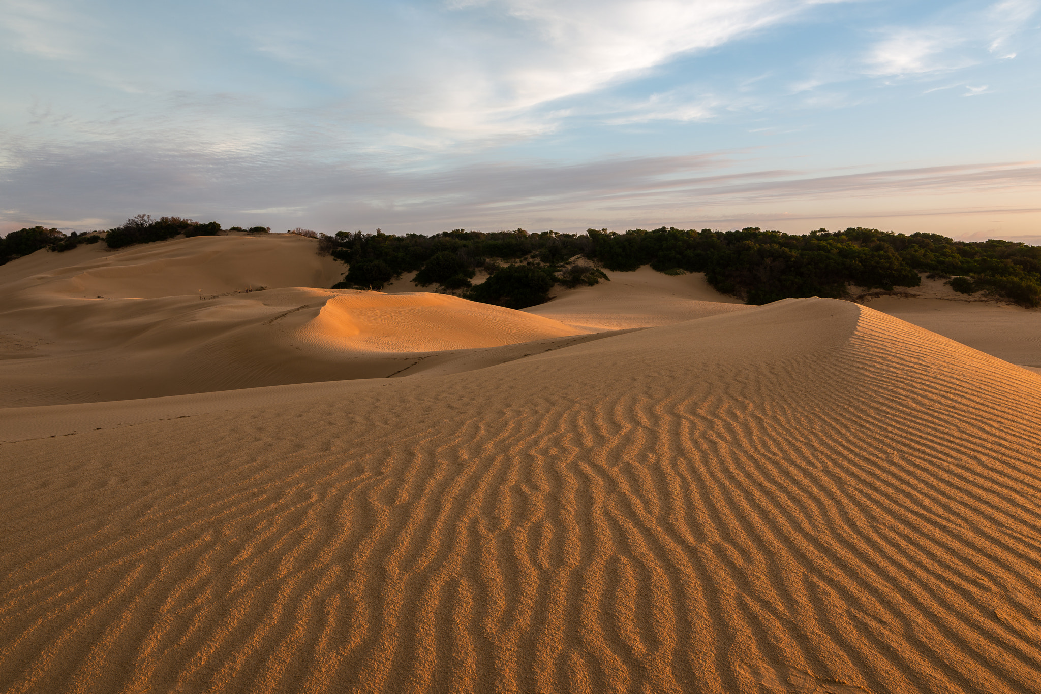Tokina AT-X 16-28mm F2.8 Pro FX sample photo. The golden sand photography