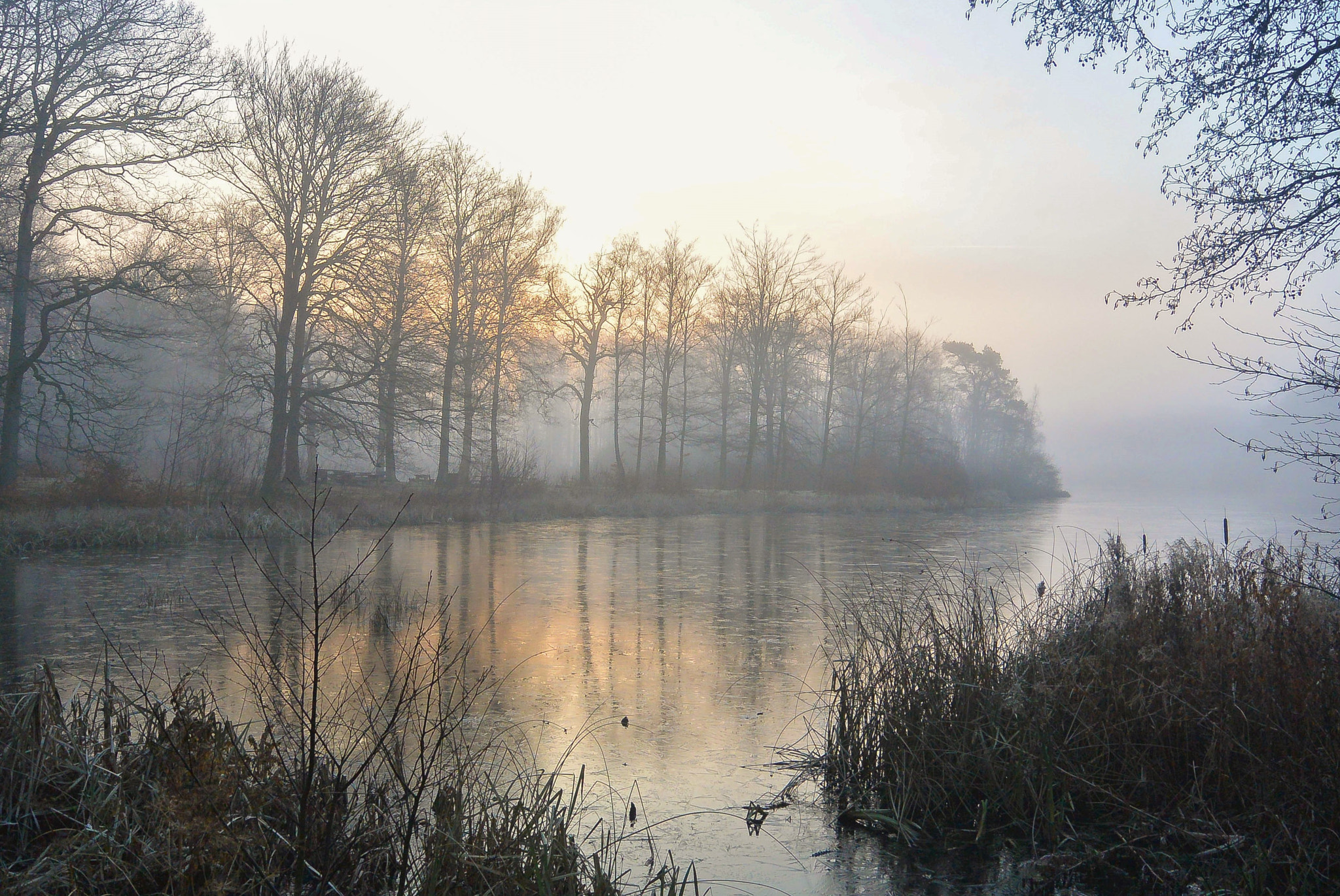 Nikon 1 S1 sample photo. The sunrise through the mist... photography