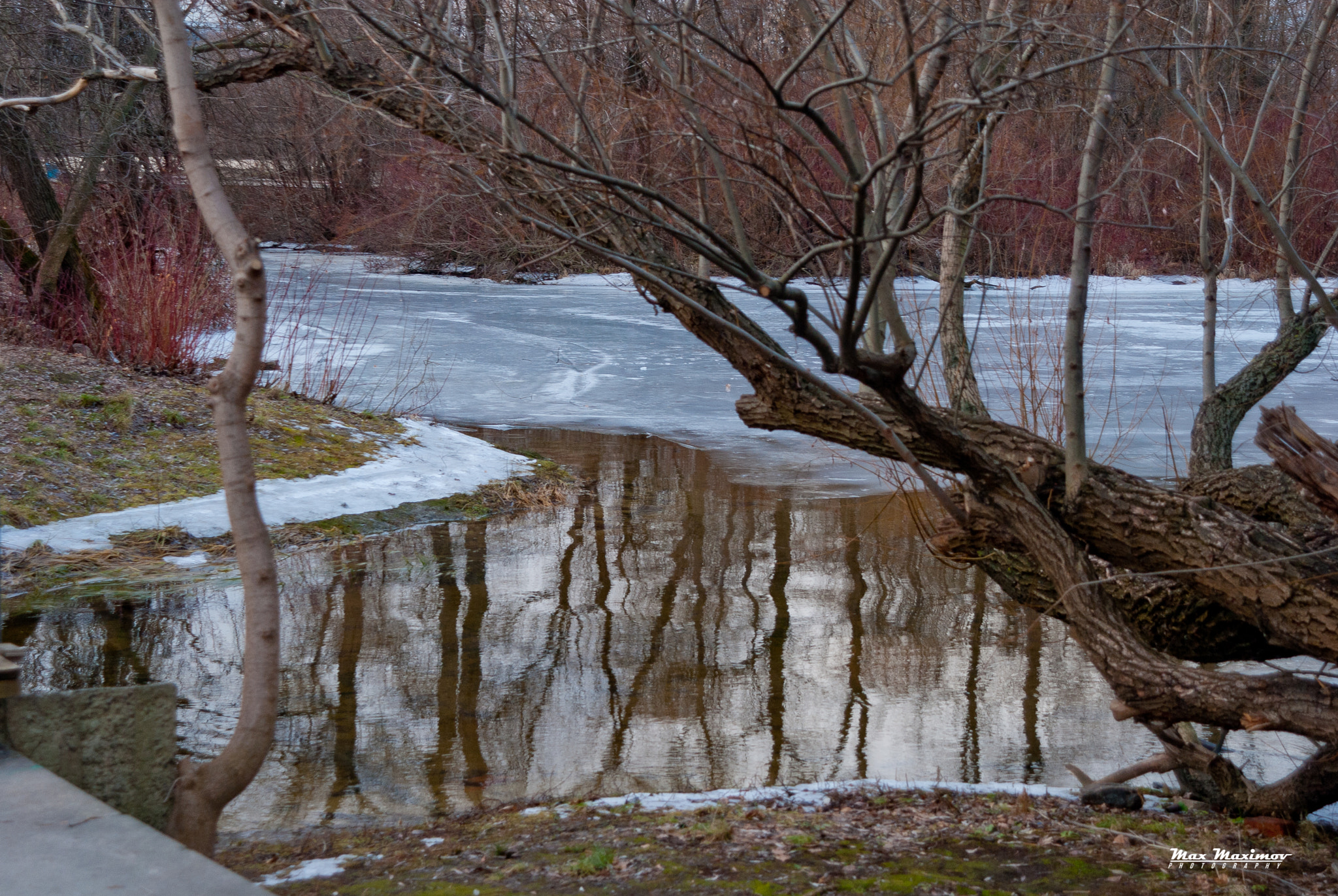 Nikon D200 + AF Zoom-Nikkor 24-120mm f/3.5-5.6D IF sample photo. Thaw photography