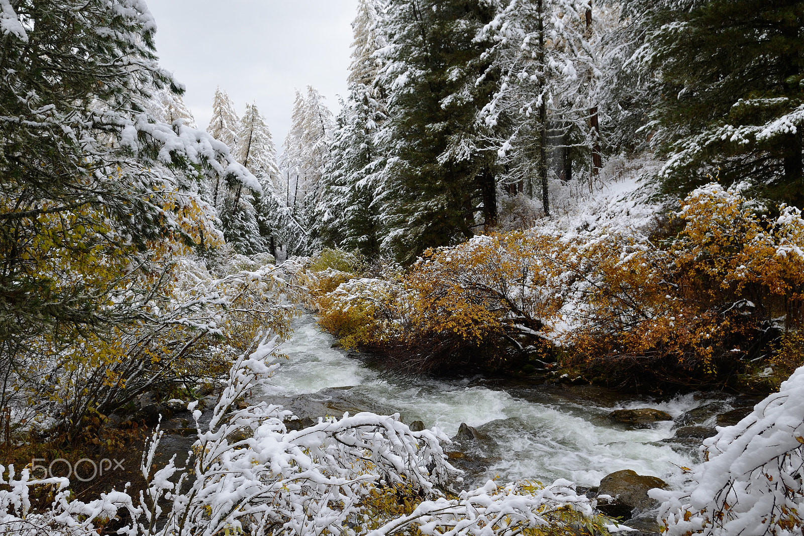Nikon D800 sample photo. Fall mountain altai photography