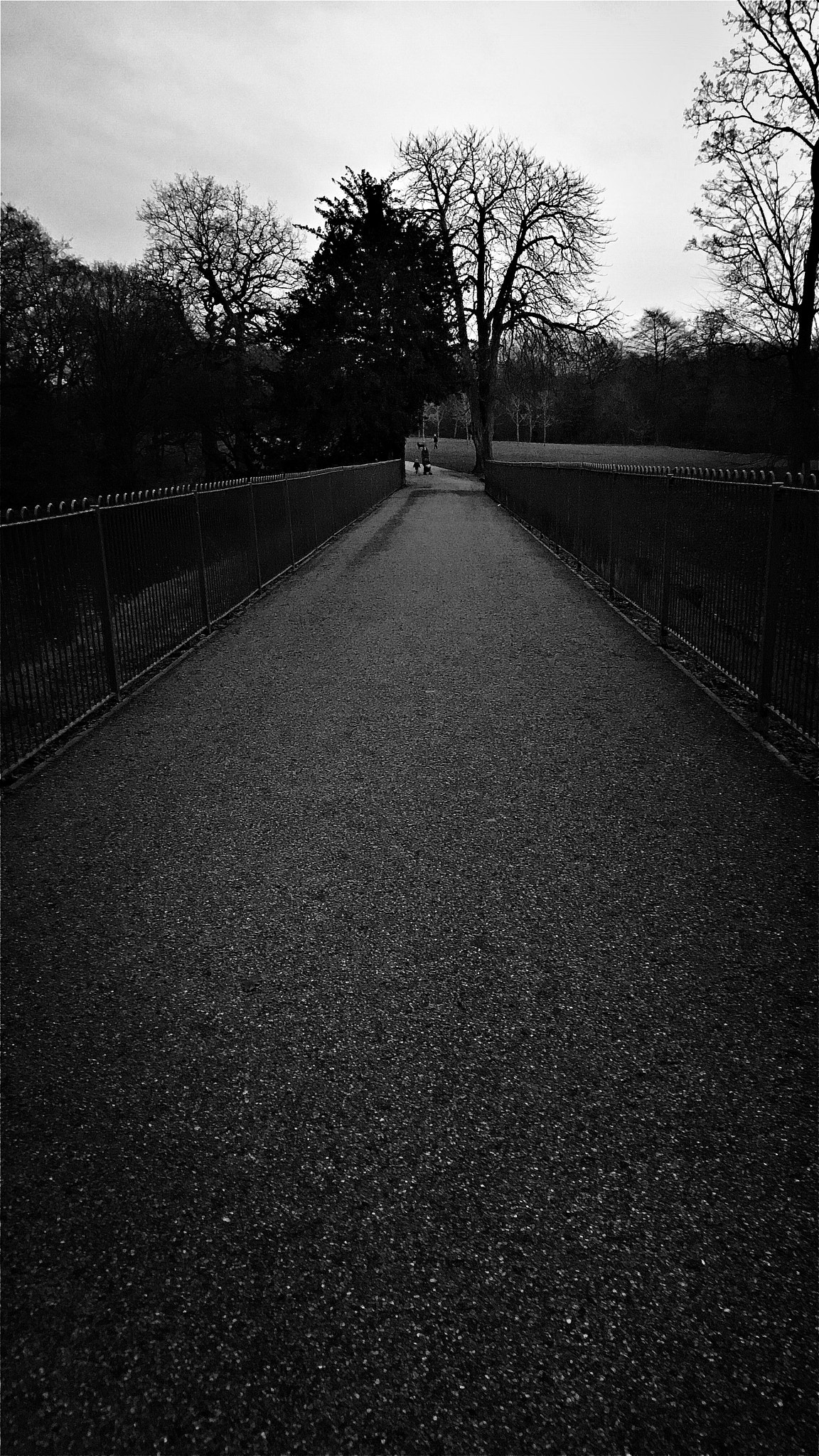 Hipstamatic 330 sample photo. A long way ahead photography
