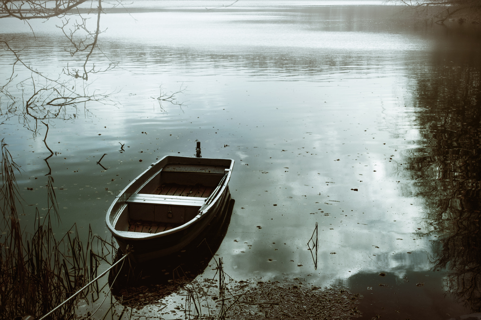 Nikon D90 + Sigma 17-35mm F2.8-4 EX Aspherical sample photo. Boot auf dem see photography