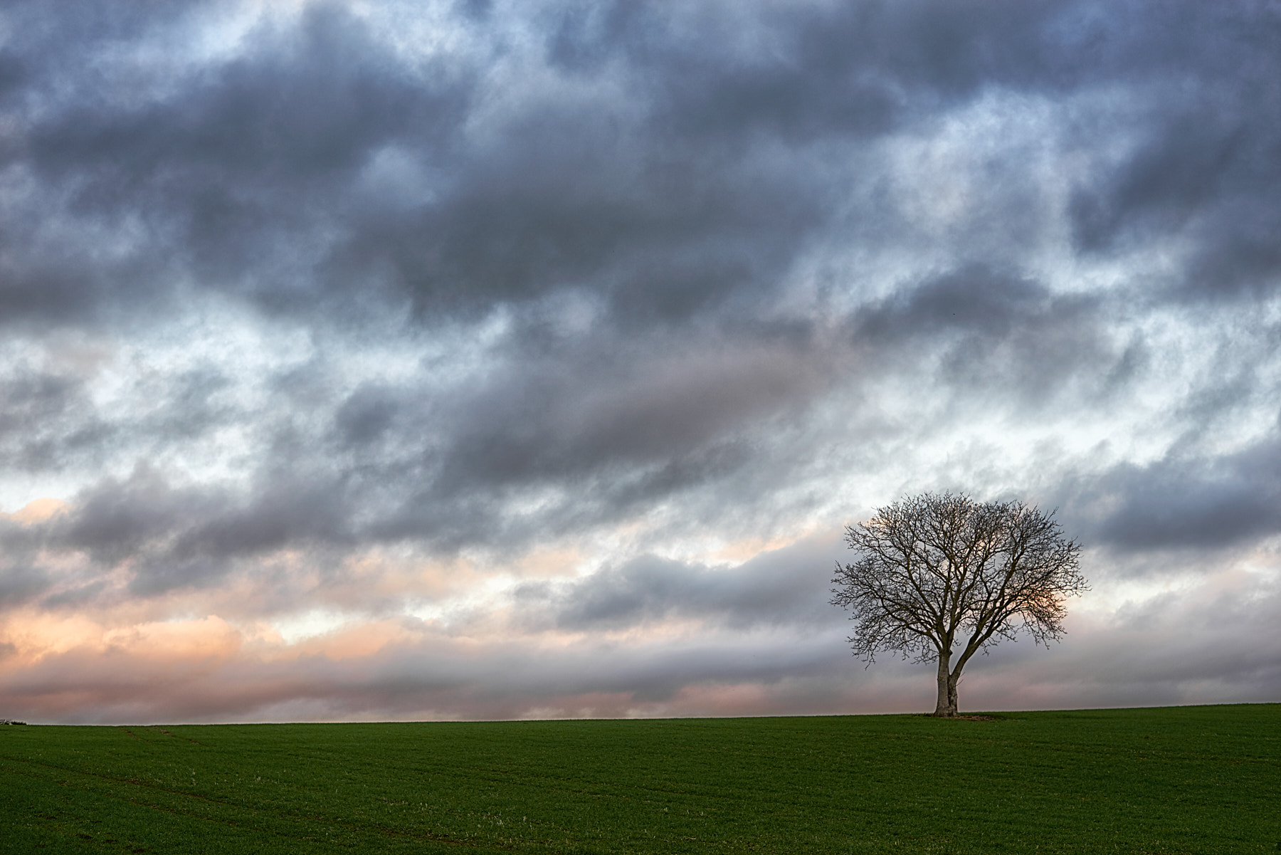 Nikon AF-S Nikkor 50mm F1.8G sample photo. Clearing storm photography