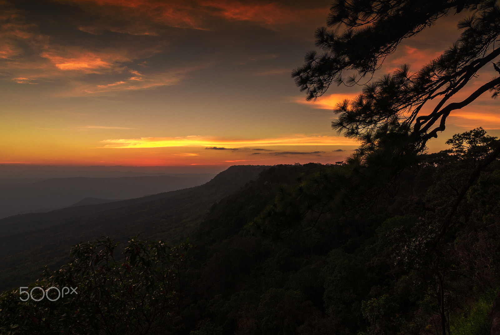 Nikon D5200 + Sigma 17-70mm F2.8-4 DC Macro OS HSM | C sample photo. Sunset cliff and pine branches. photography