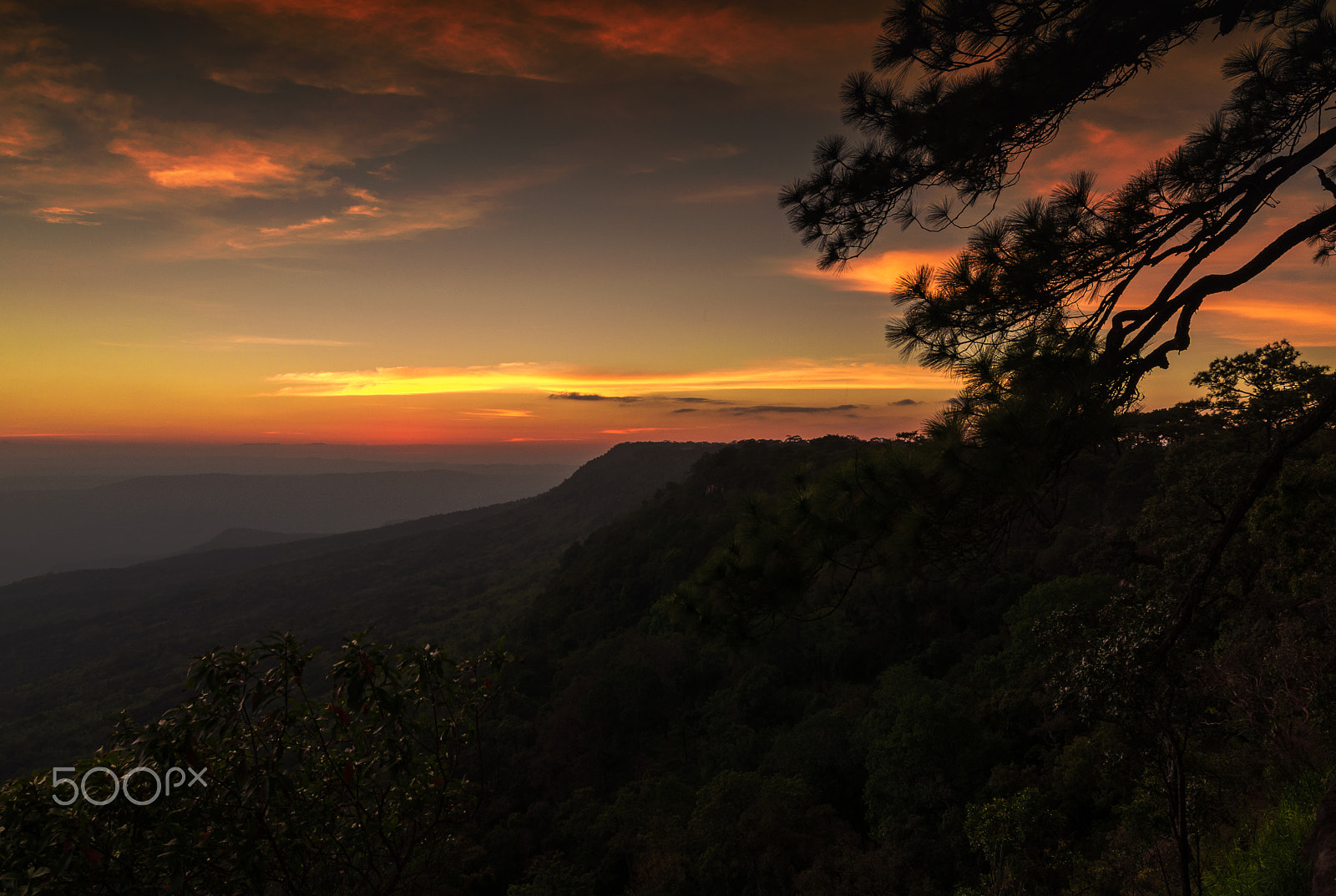 Sigma 17-70mm F2.8-4 DC Macro OS HSM | C sample photo. Sunset cliff and pine branches. photography