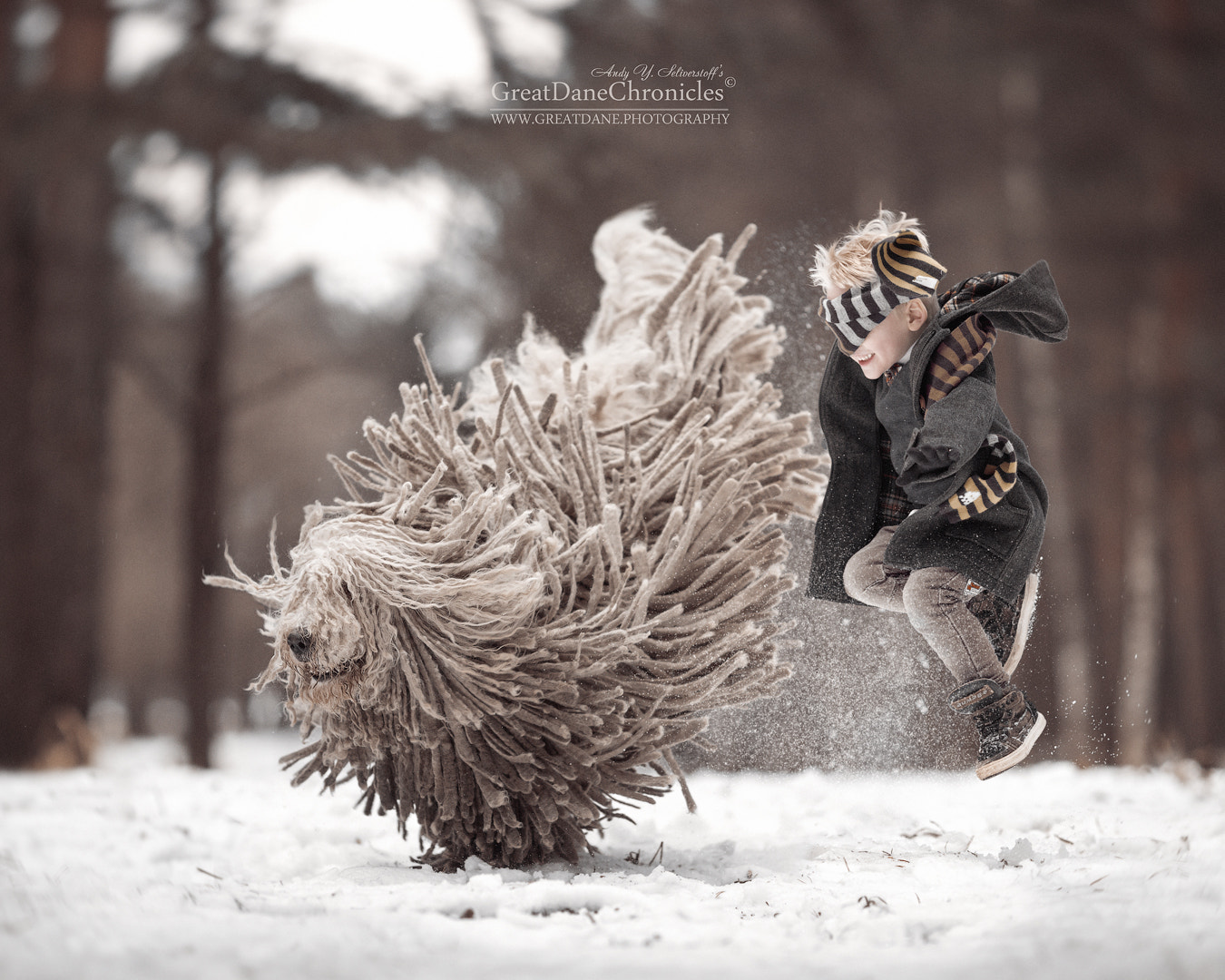 Canon EOS 5D Mark IV + Canon EF 135mm F2L USM sample photo. Komondor - it is really cool! photography