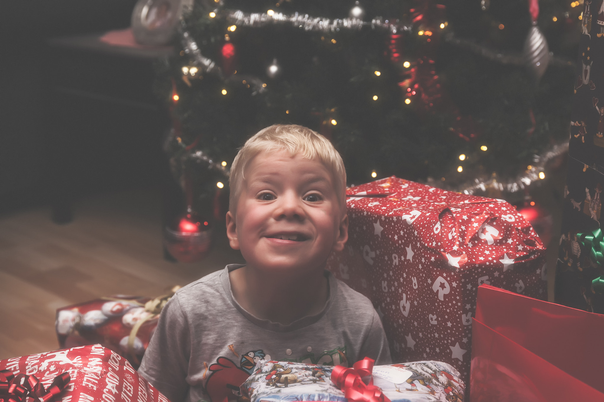 Sigma 24-105mm f/4 DG OS HSM | A sample photo. I found my gifts photography