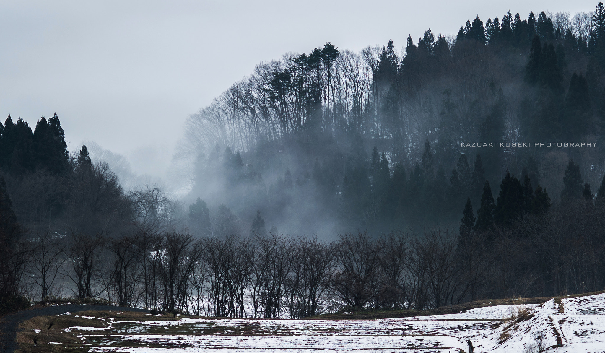 Nikon D3S sample photo. Winter fog photography