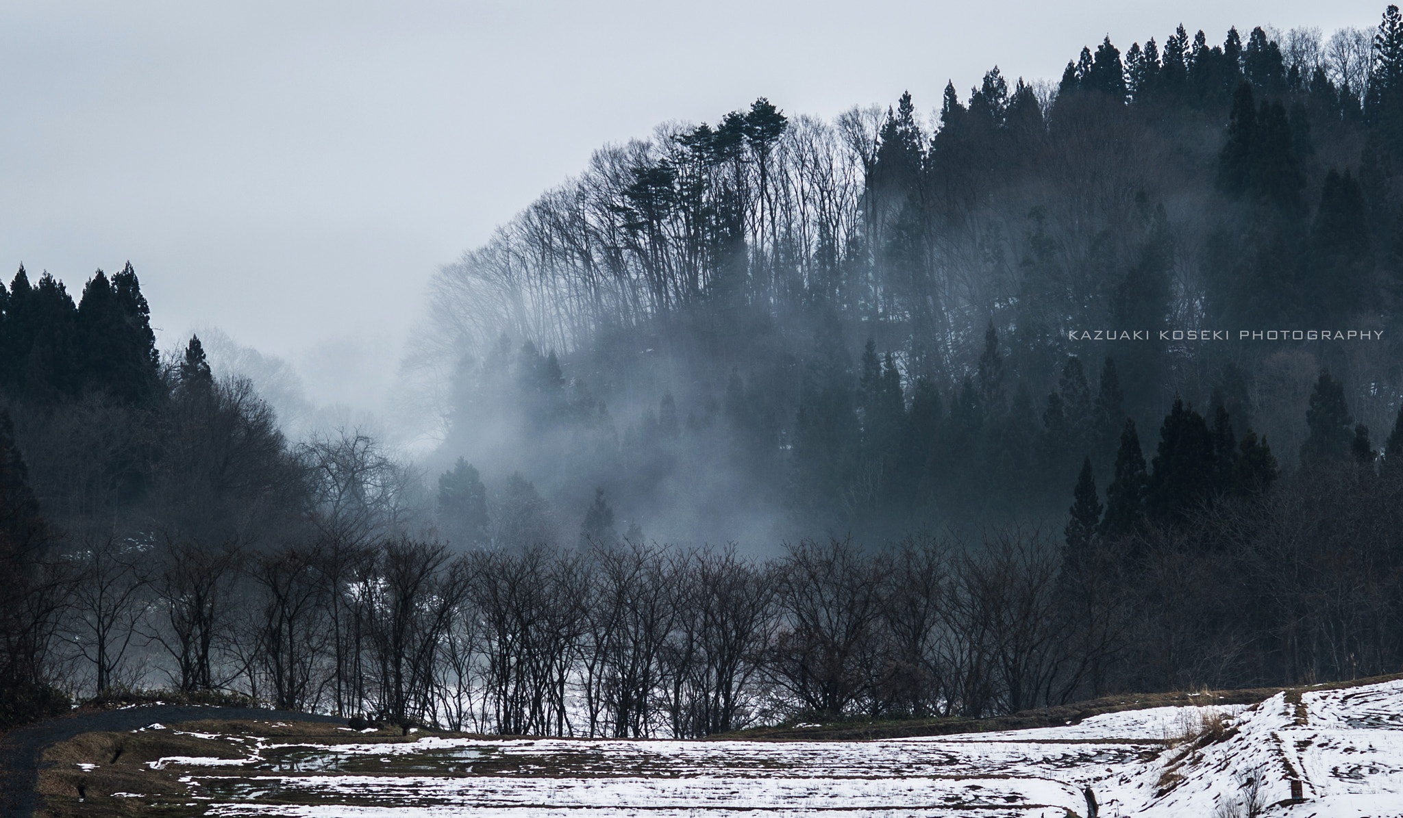 AF DC-Nikkor 135mm f/2 sample photo. Winter fog photography