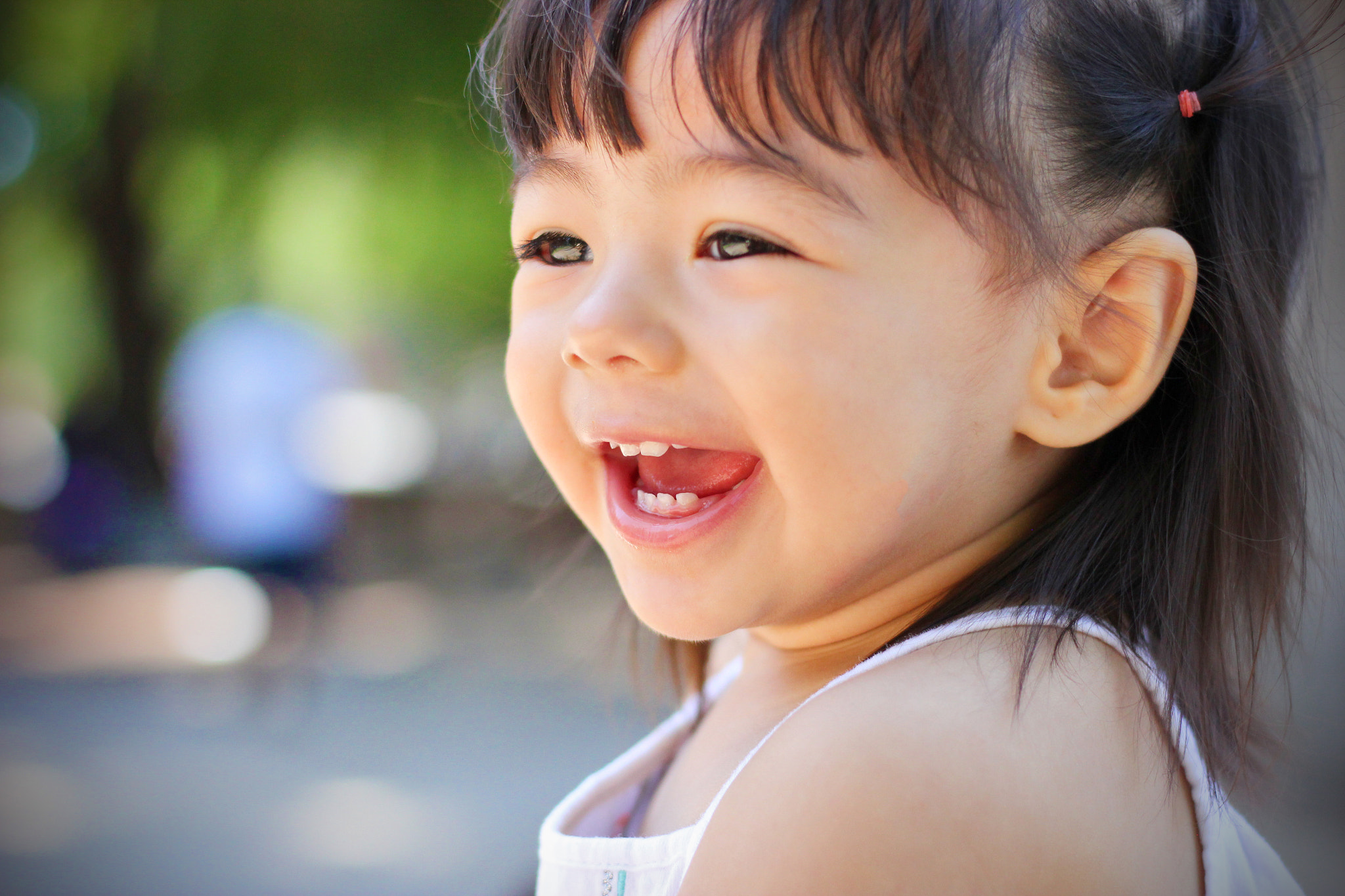 Canon EOS 550D (EOS Rebel T2i / EOS Kiss X4) sample photo. Aria photography