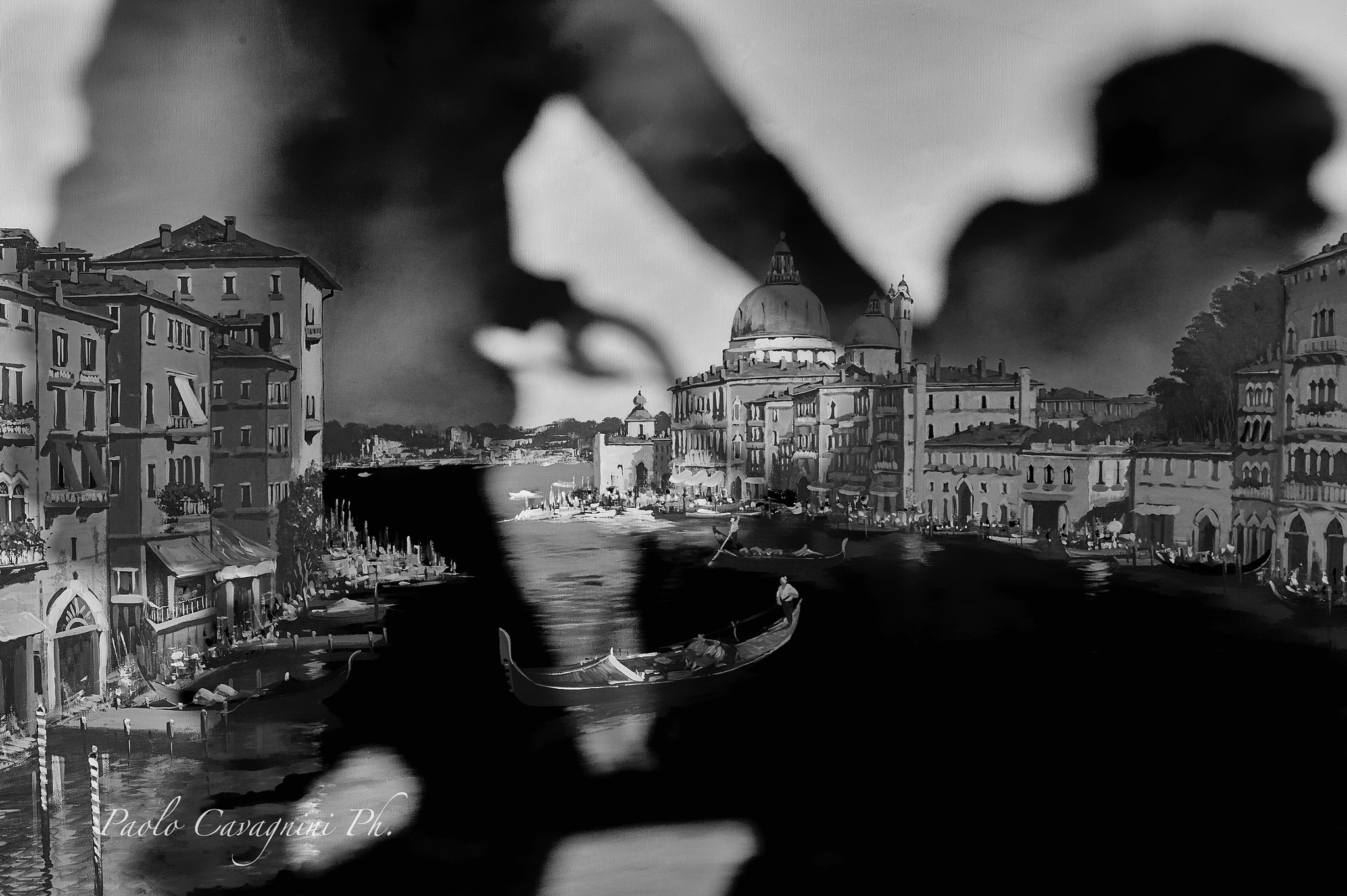 Nikon D4S sample photo. Shadows on venice photography