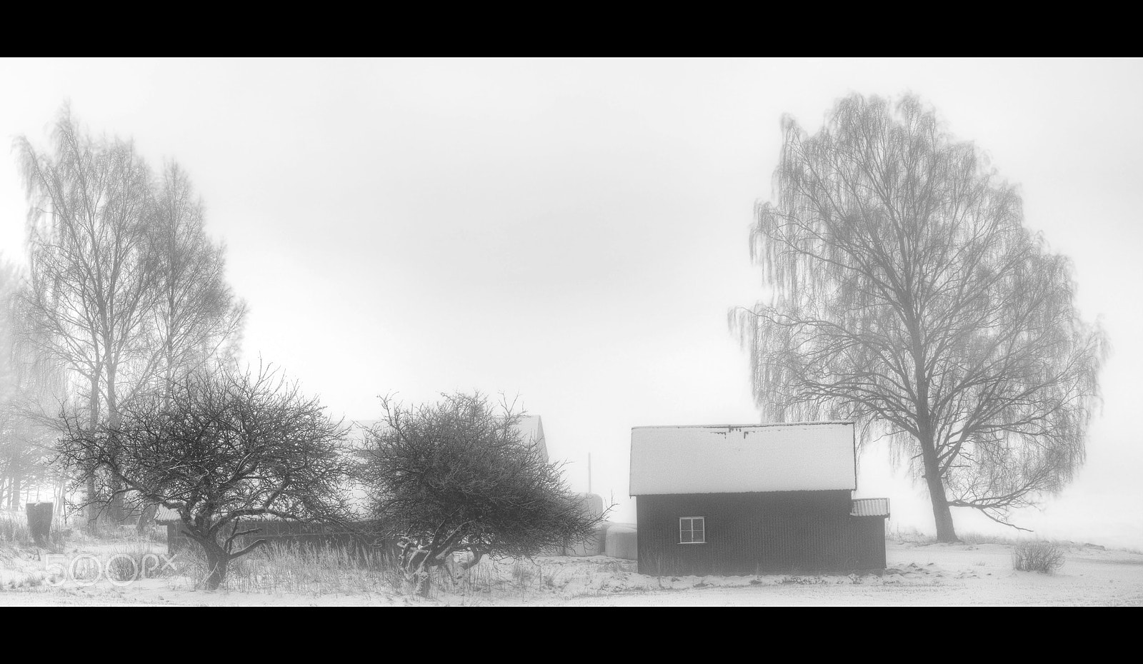 Nikon D800E sample photo. No color left... photography