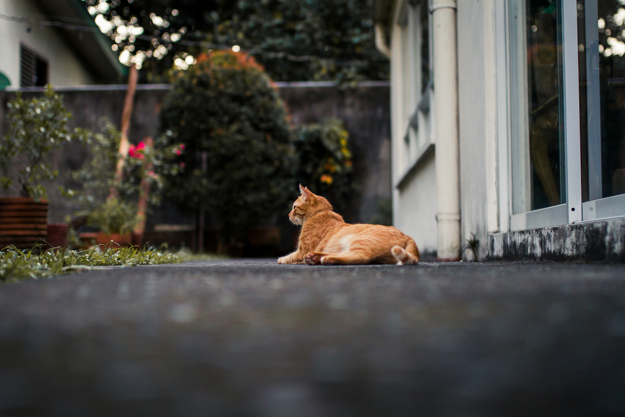 Canon EOS 7D + Sigma 35mm F1.4 DG HSM Art sample photo. Usual photography