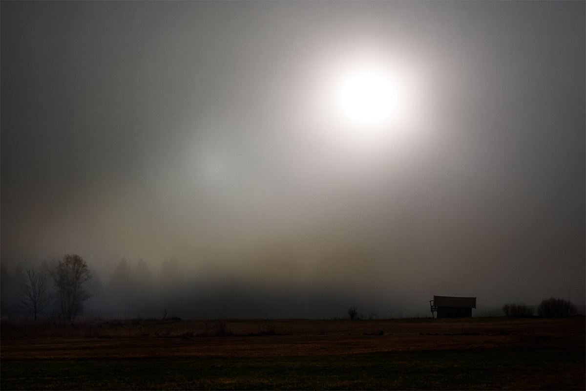 Canon EOS 40D sample photo. Into the light ii photography