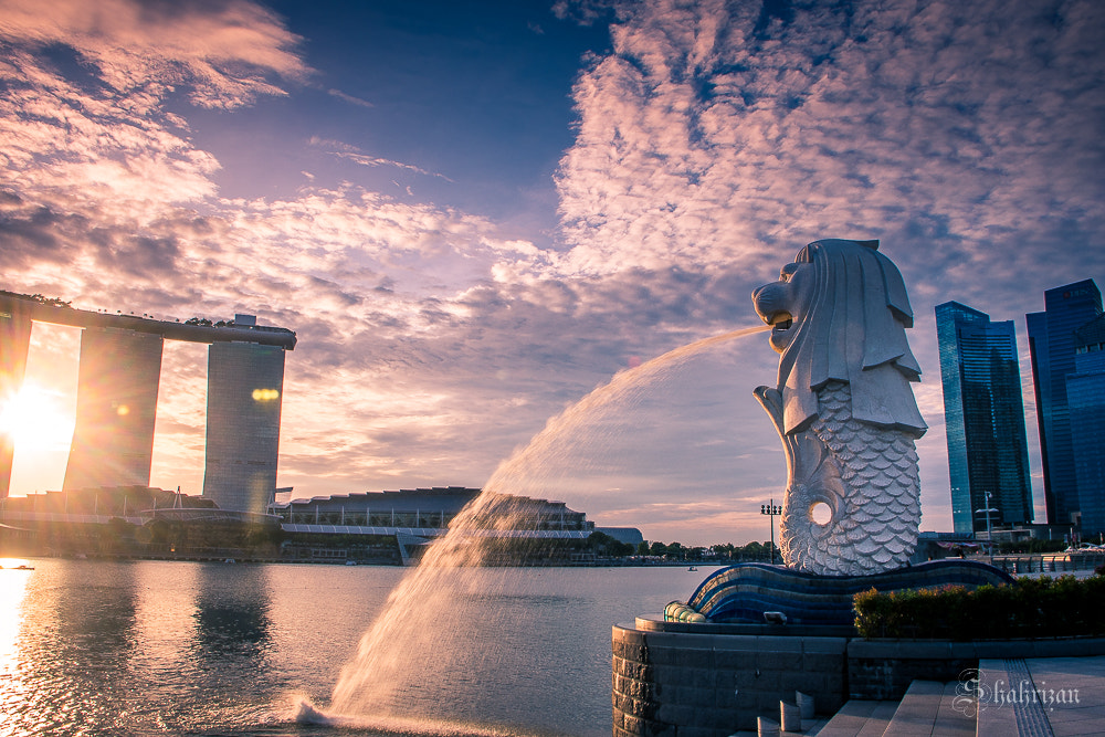 Nikon D500 sample photo. Sunrise on the lion city photography