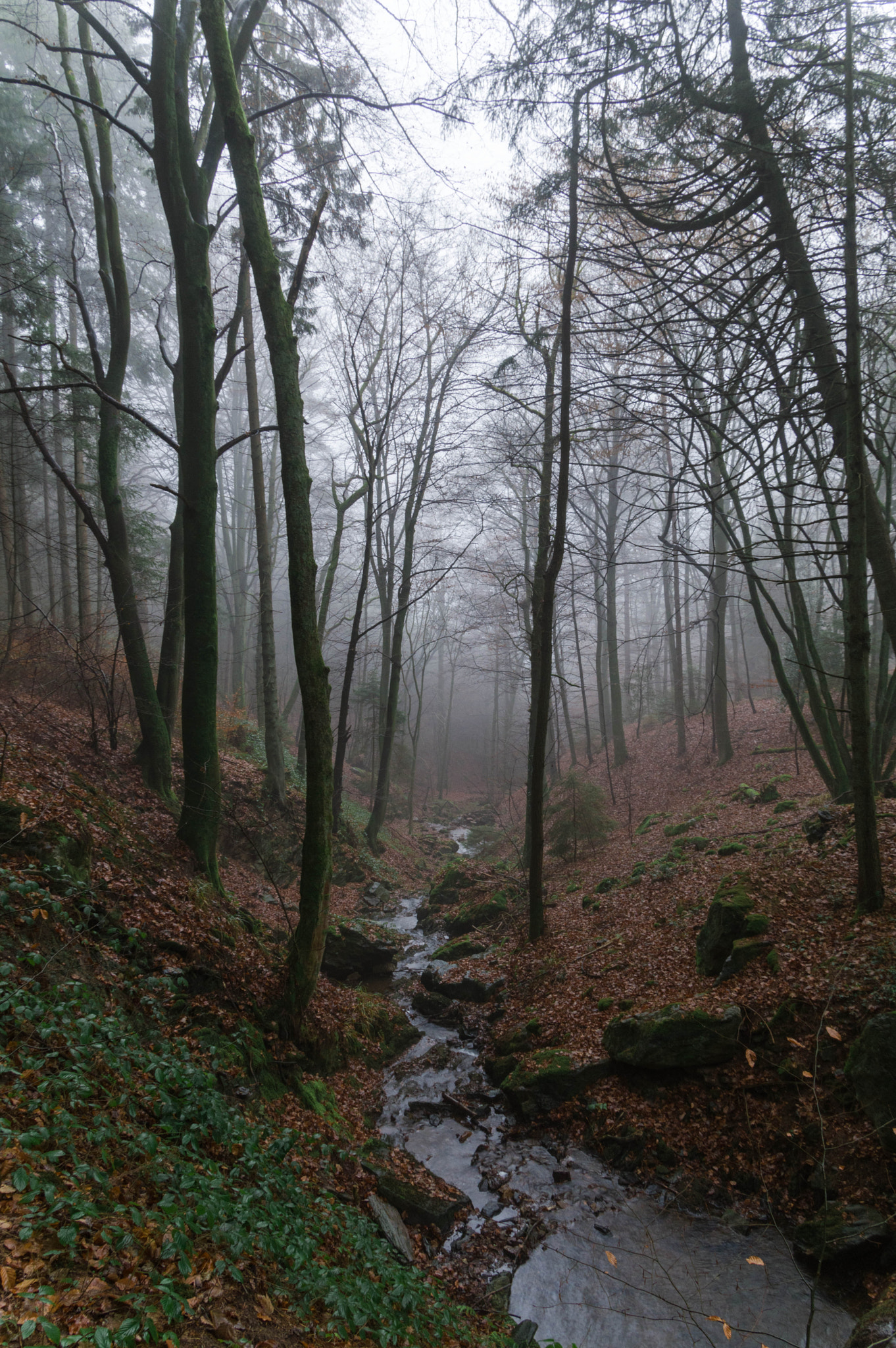 Pentax smc DA* 16-50mm F2.8 ED AL (IF) SDM sample photo. Magical place photography