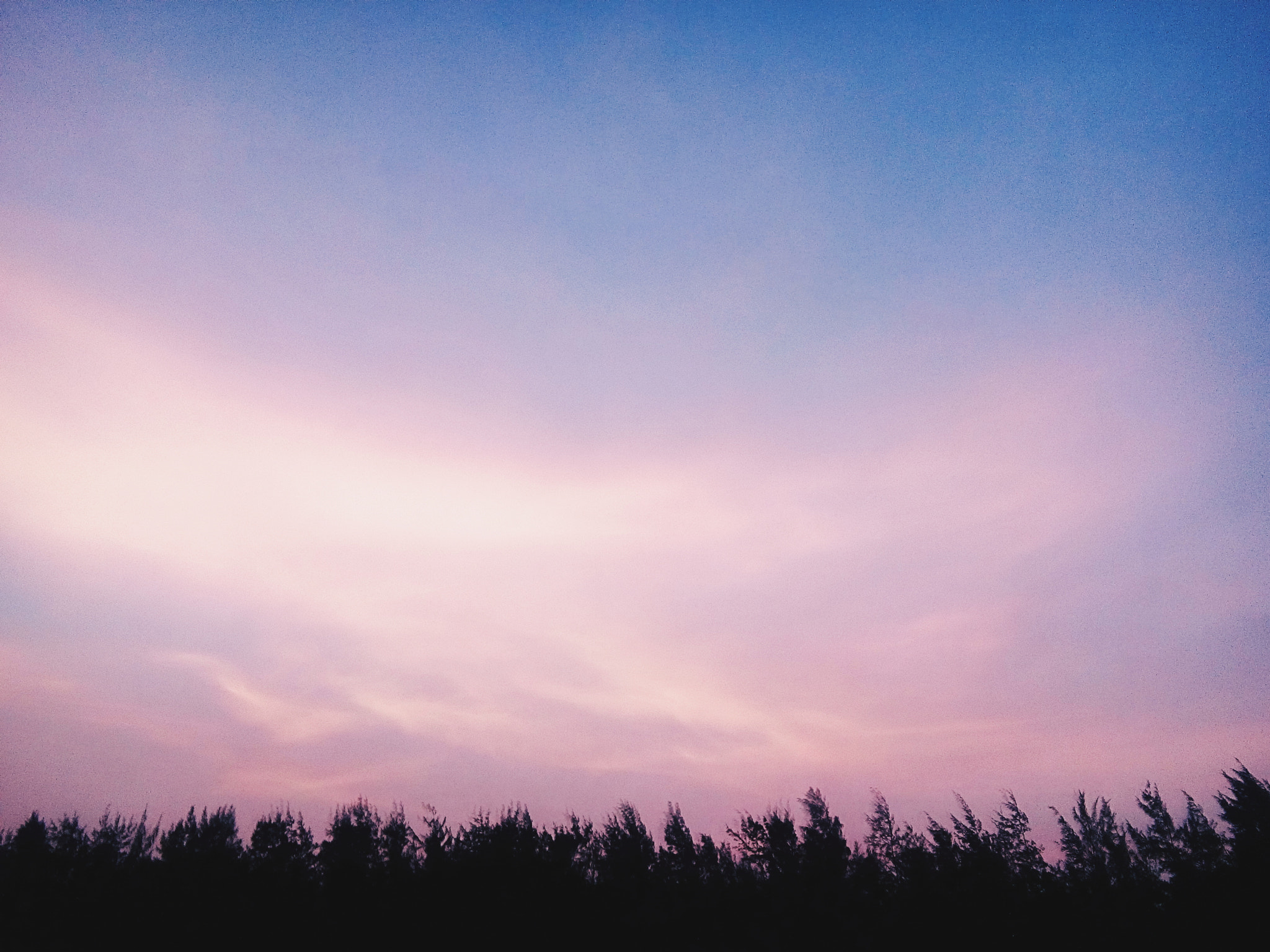 LG L Bello sample photo