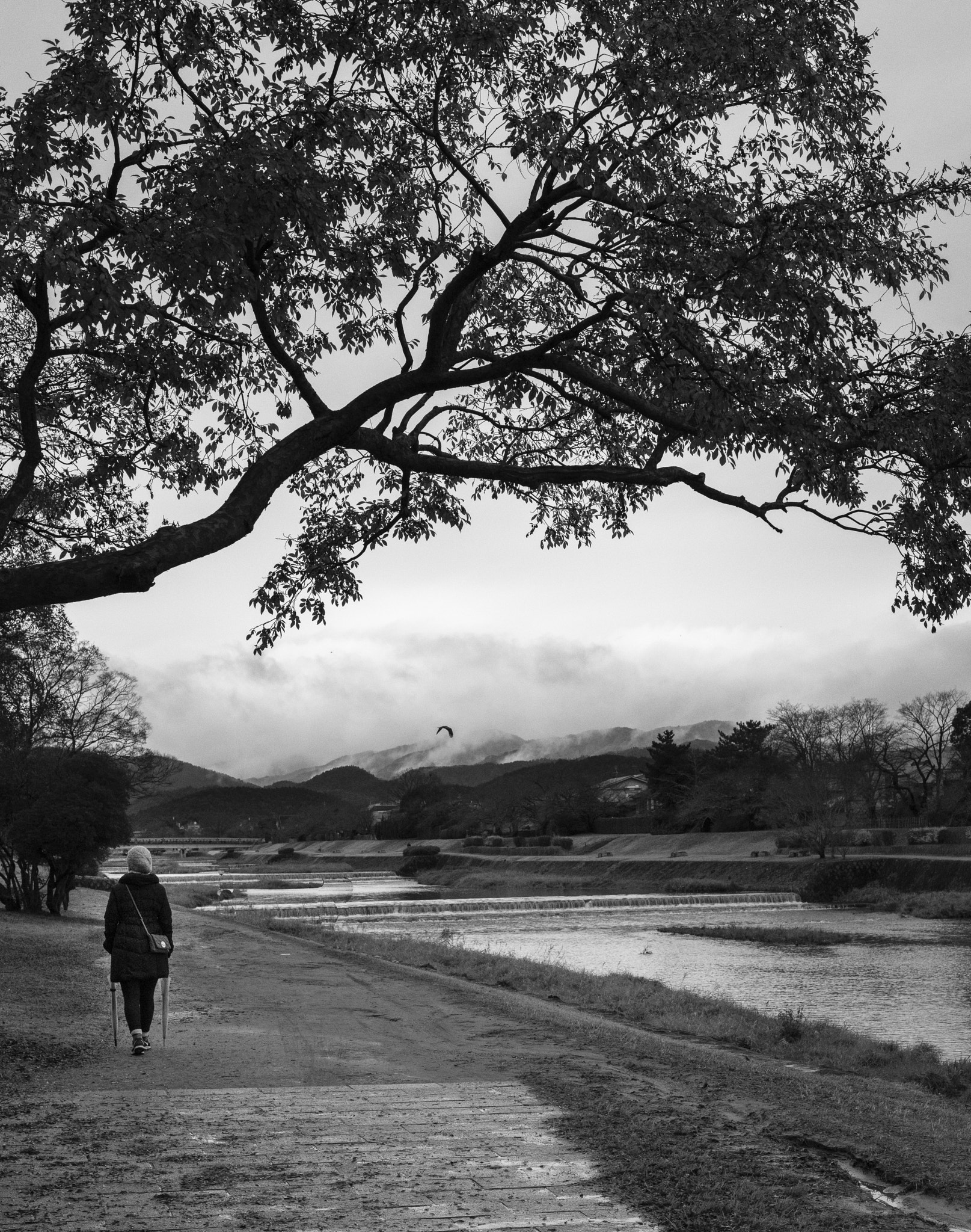 Sony a7R II + E 50mm F2 sample photo. Kamogawa river walk photography