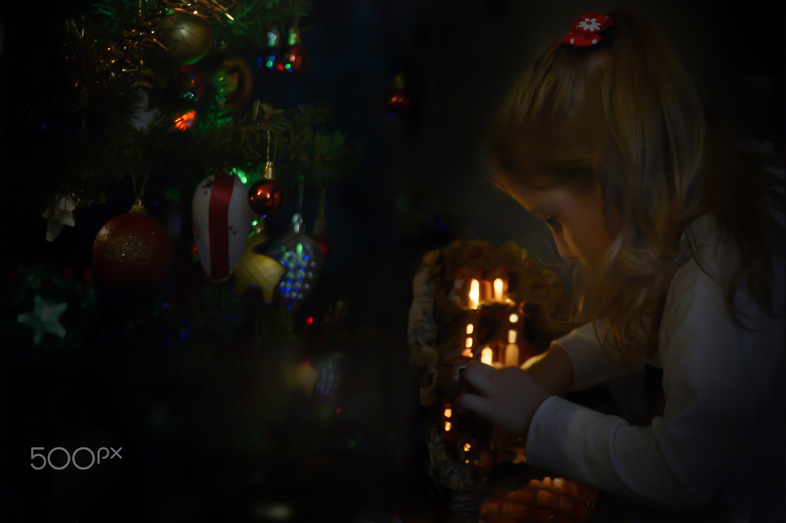 Nikon Df sample photo. ...a rox le piace o presepe... photography
